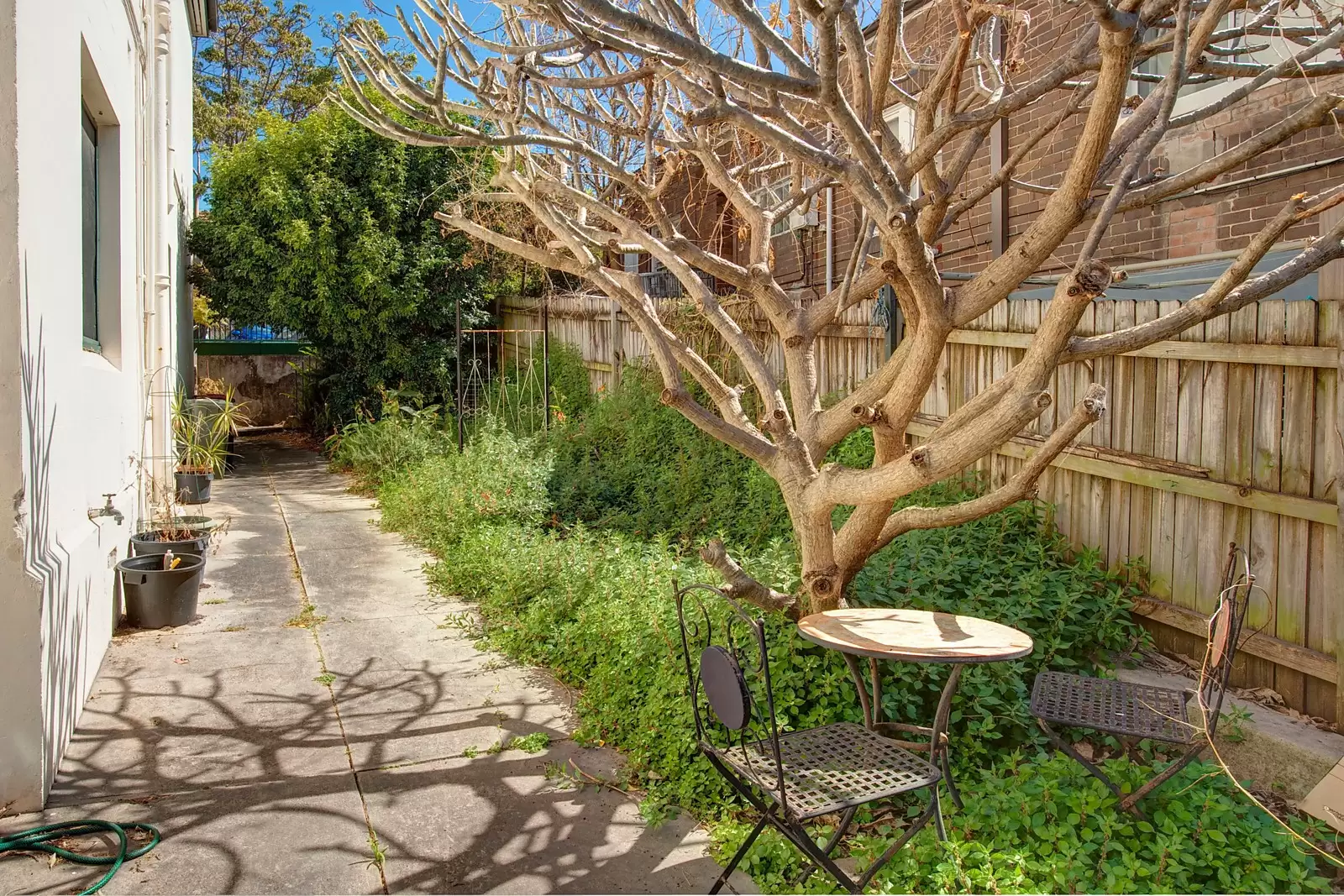 5-7 View Street, Annandale Sold by Sydney Sotheby's International Realty - image 6