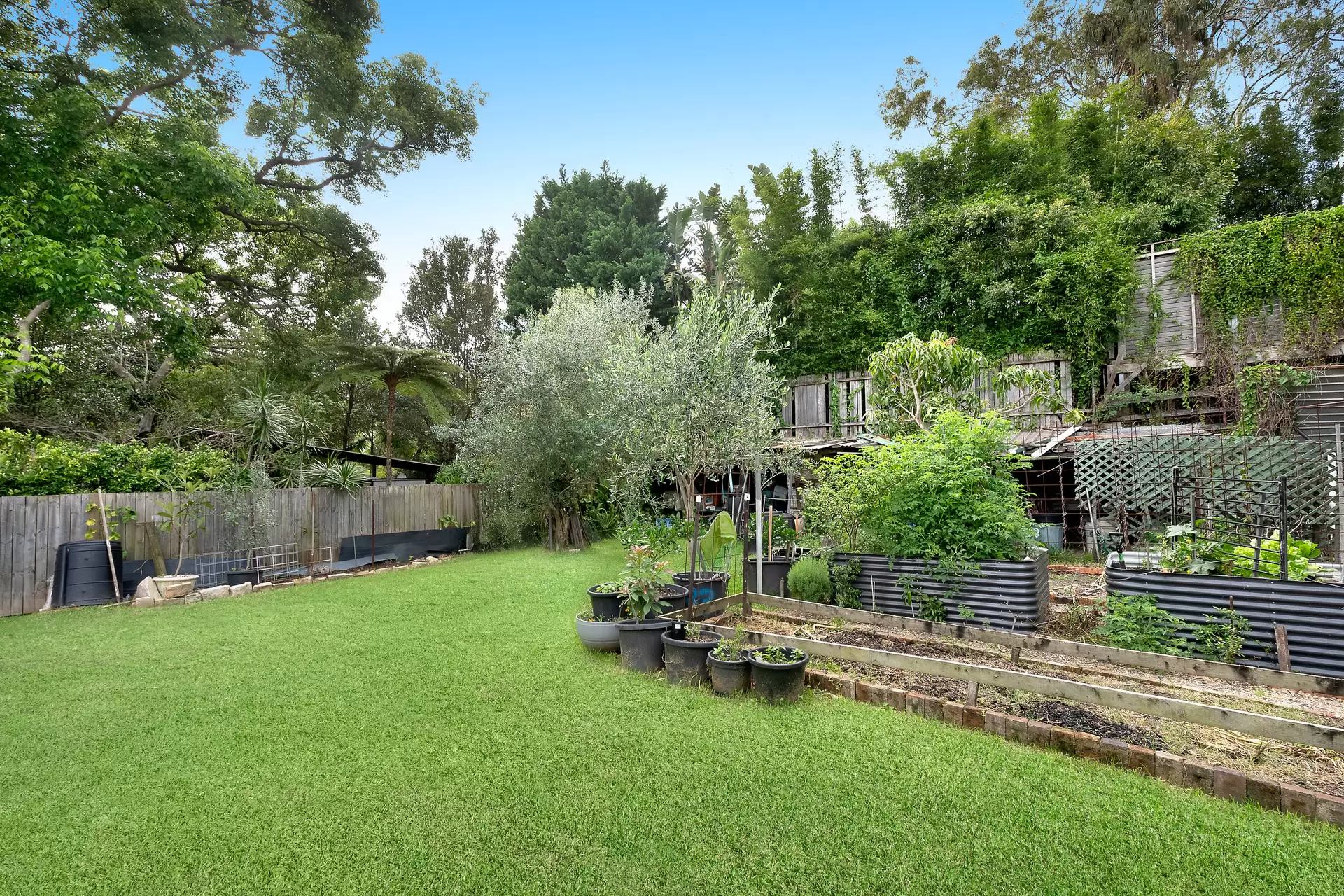 25 Murray Street, Bronte Sold by Sydney Sotheby's International Realty - image 1