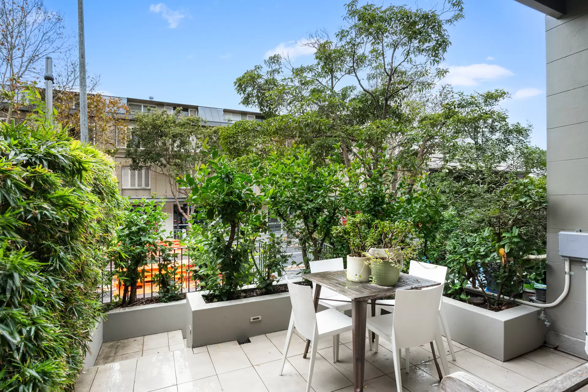 445 Crown Street, Surry Hills Sold by Sydney Sotheby's International Realty - image 1