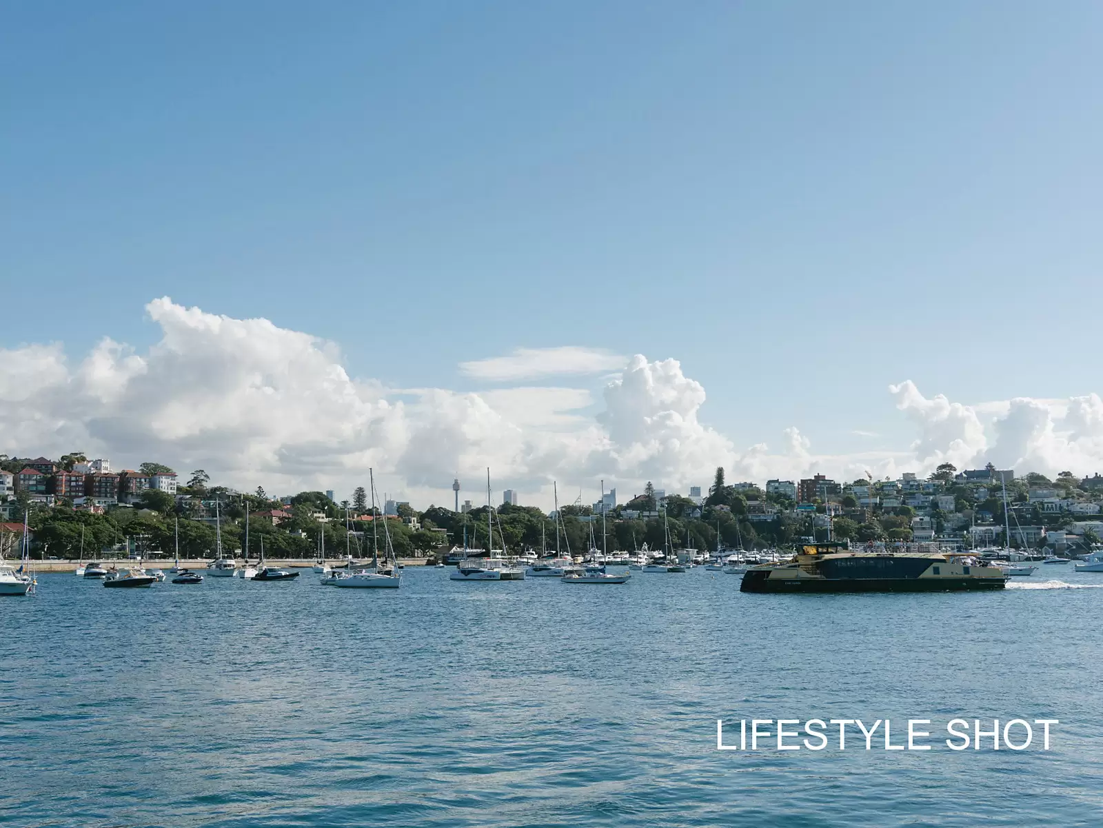 595 New South Head Road, Rose Bay Sold by Sydney Sotheby's International Realty - image 22