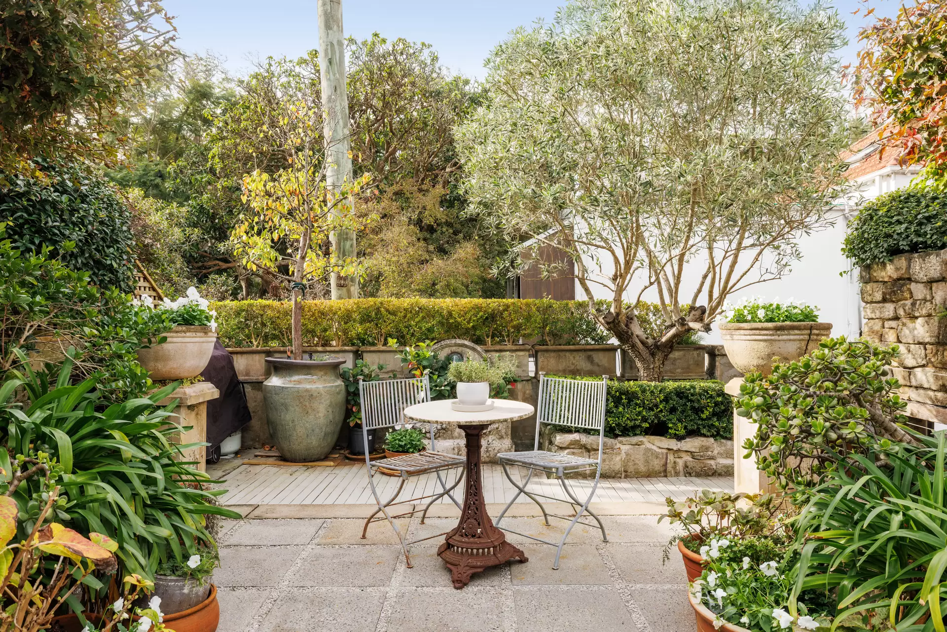 110 Sutherland Street, Paddington Sold by Sydney Sotheby's International Realty - image 1