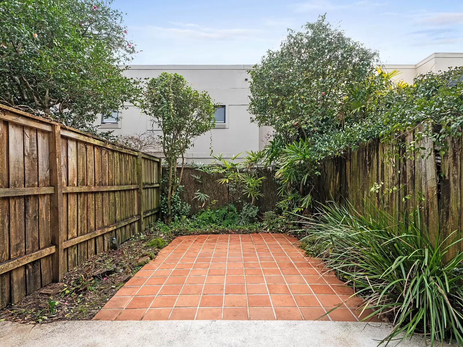 6/58 Ocean Street, Woollahra Sold by Sydney Sotheby's International Realty - image 2