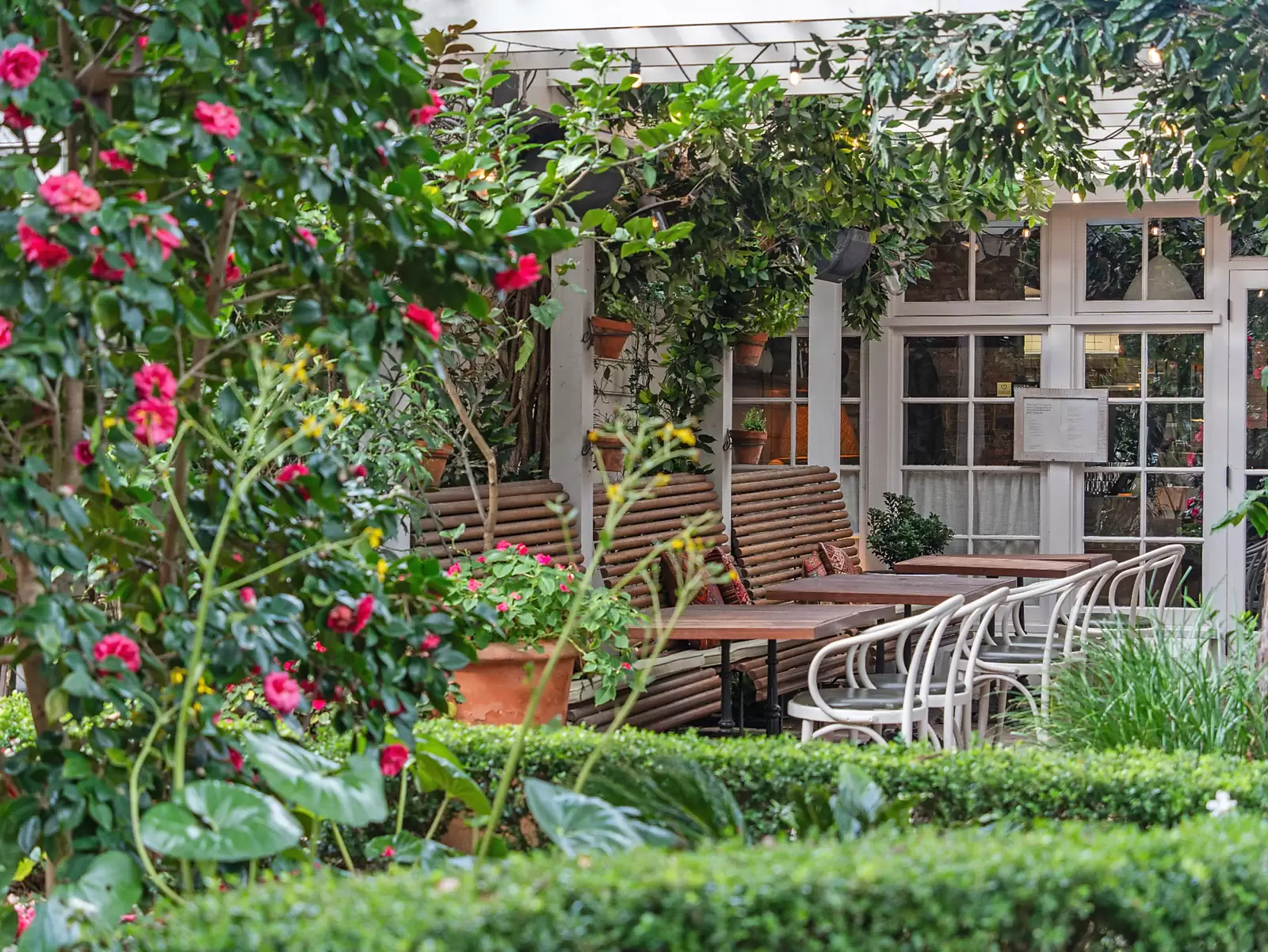 6/58 Ocean Street, Woollahra Sold by Sydney Sotheby's International Realty - image 10