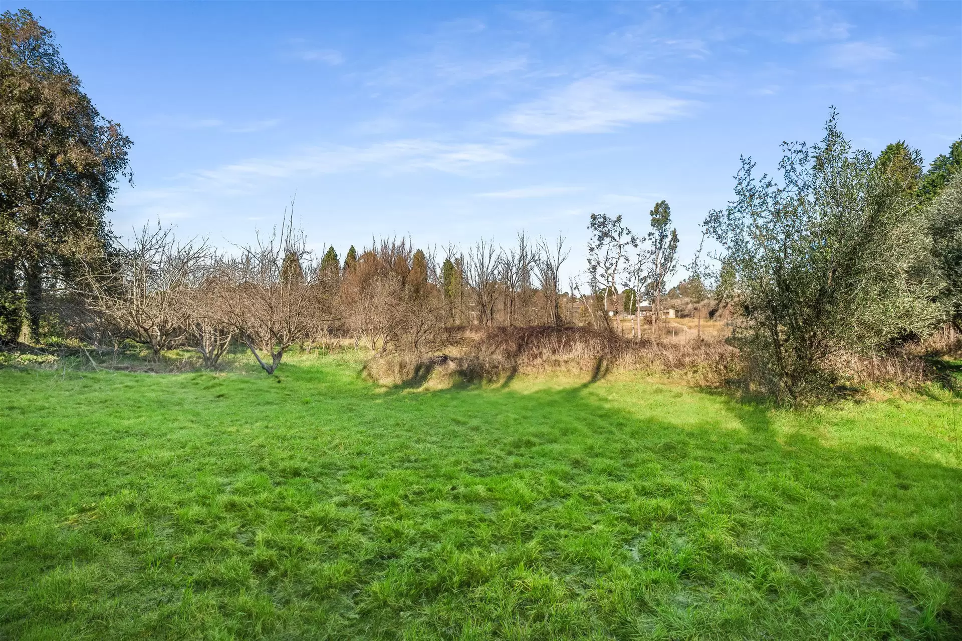 159 Bowral Street, Bowral Sold by Sydney Sotheby's International Realty - image 12