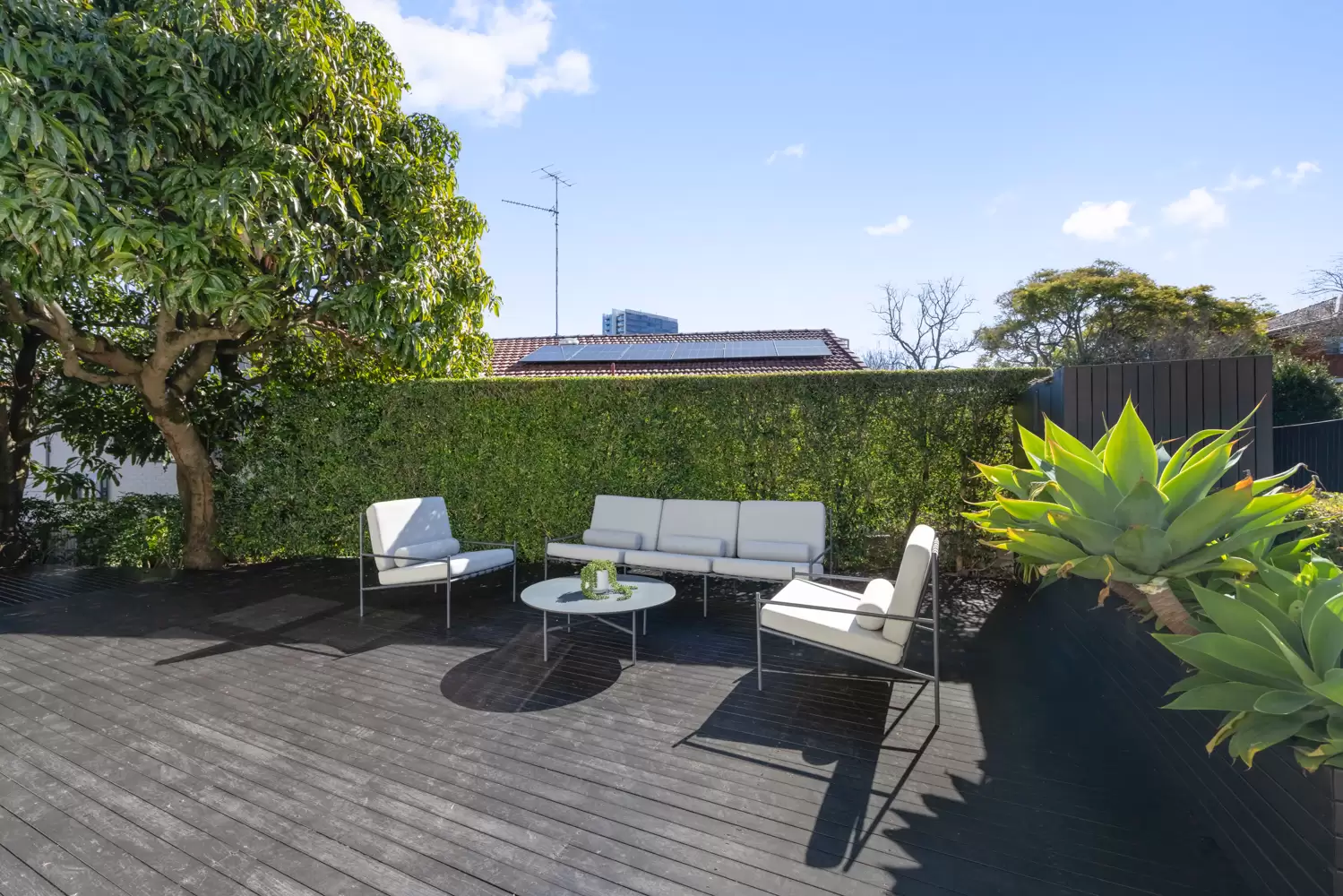 16 Milroy Avenue, Kensington Sold by Sydney Sotheby's International Realty - image 3
