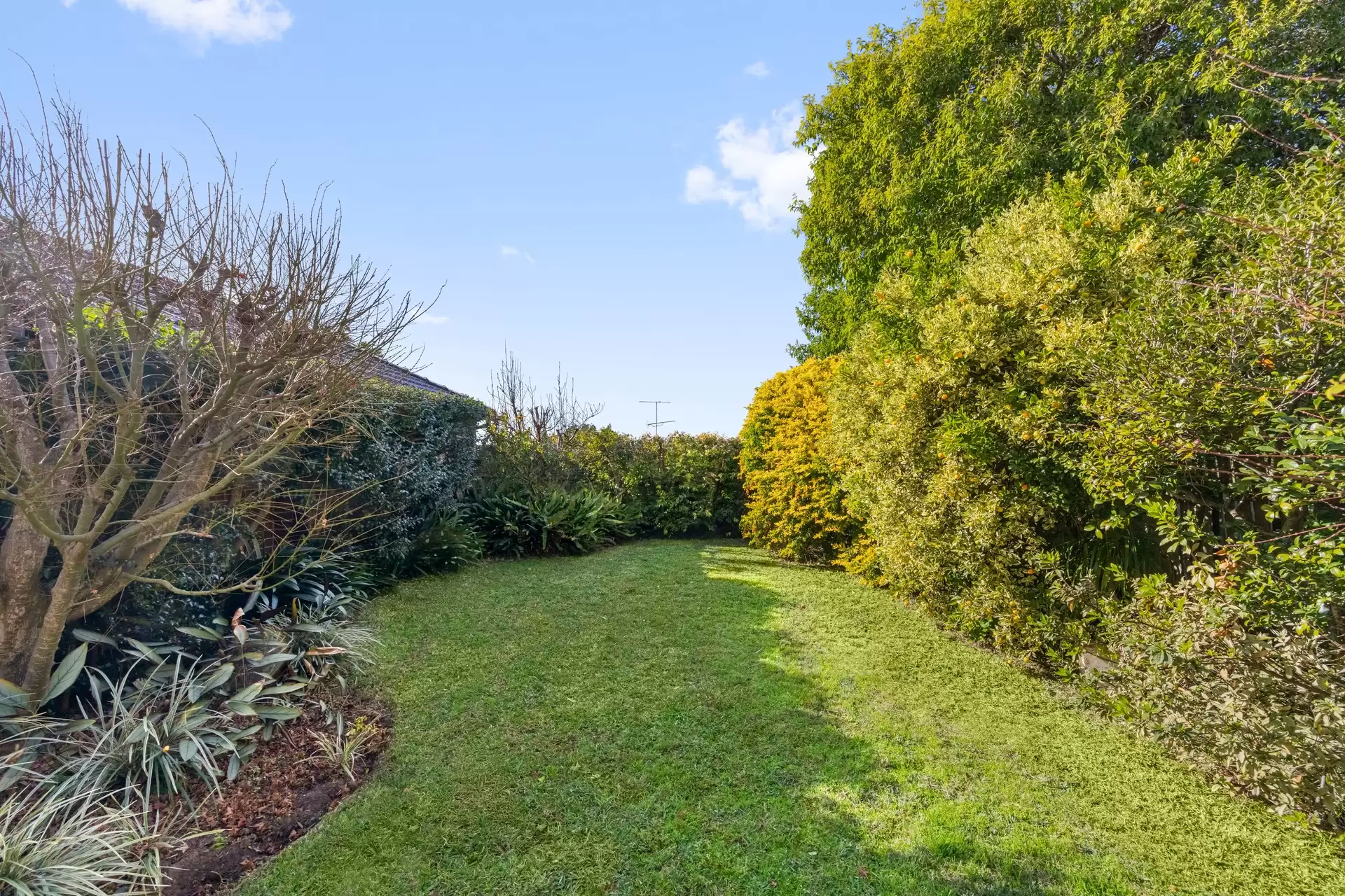 87 Tunstall Avenue, Kingsford Sold by Sydney Sotheby's International Realty - image 6