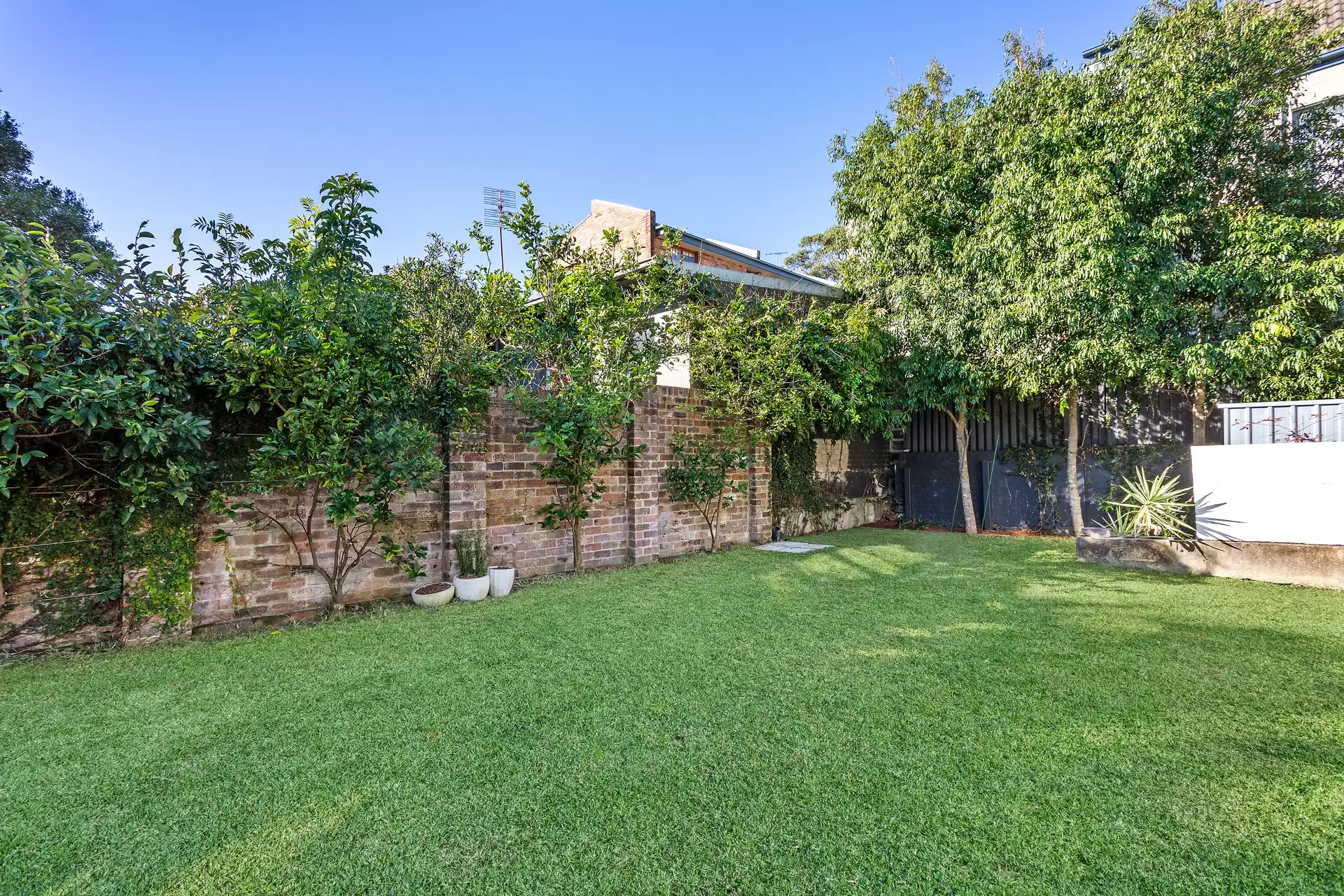 253 Avoca Street, Randwick Sold by Sydney Sotheby's International Realty - image 3