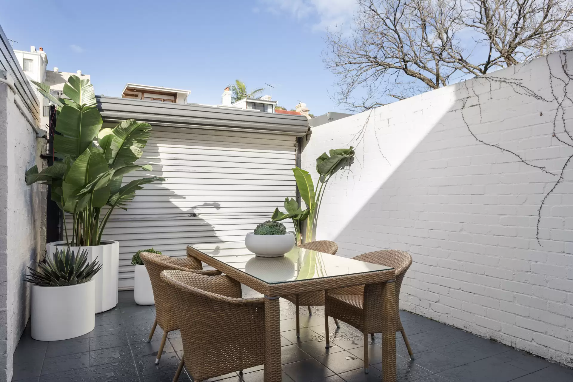 26 Alexander Street, Paddington Sold by Sydney Sotheby's International Realty - image 1