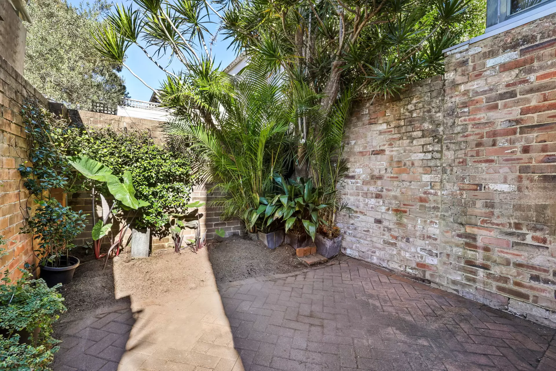 53 Albion Avenue, Paddington Sold by Sydney Sotheby's International Realty - image 1