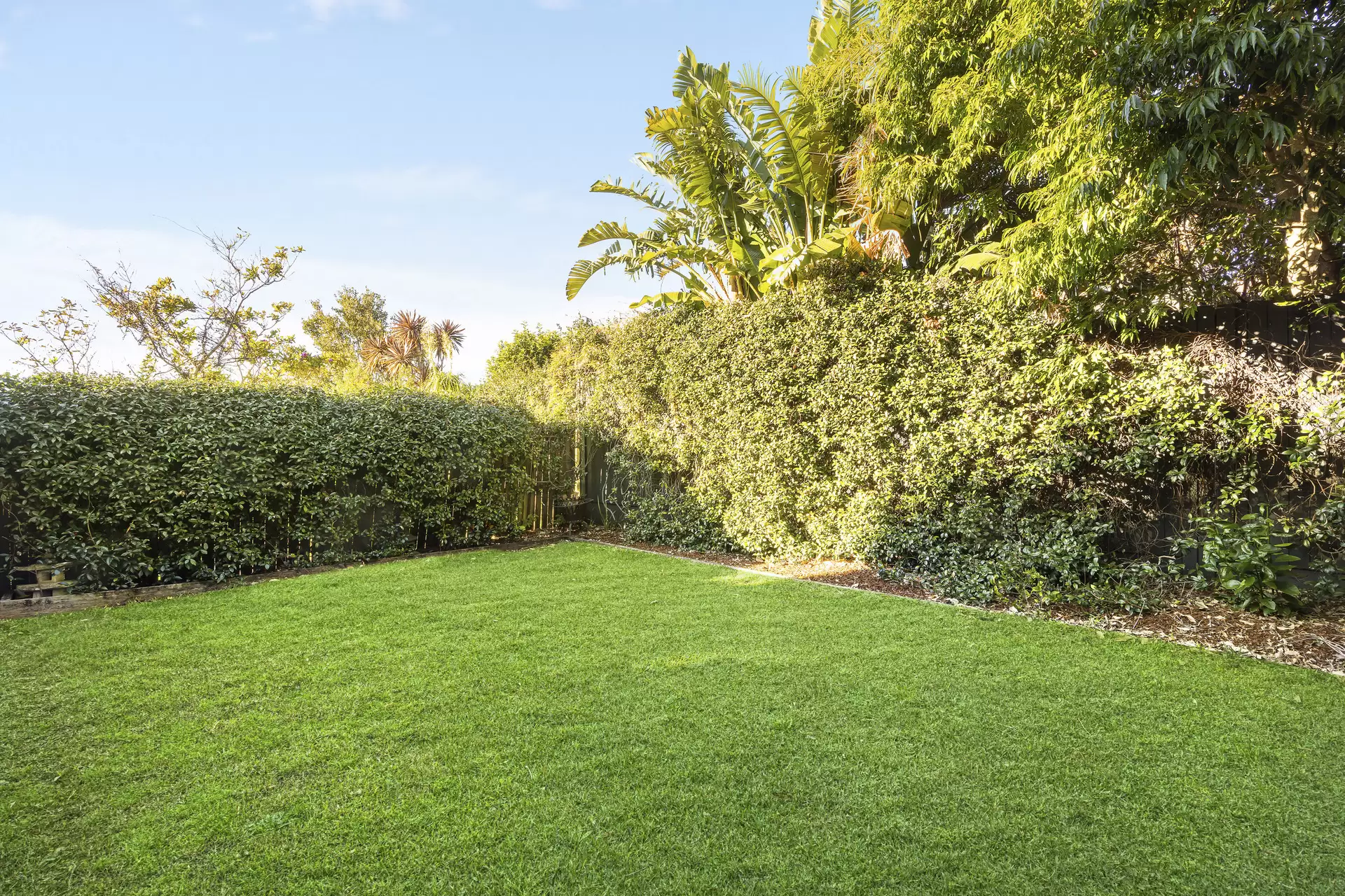 23 Araluen Street, Kingsford Sold by Sydney Sotheby's International Realty - image 4