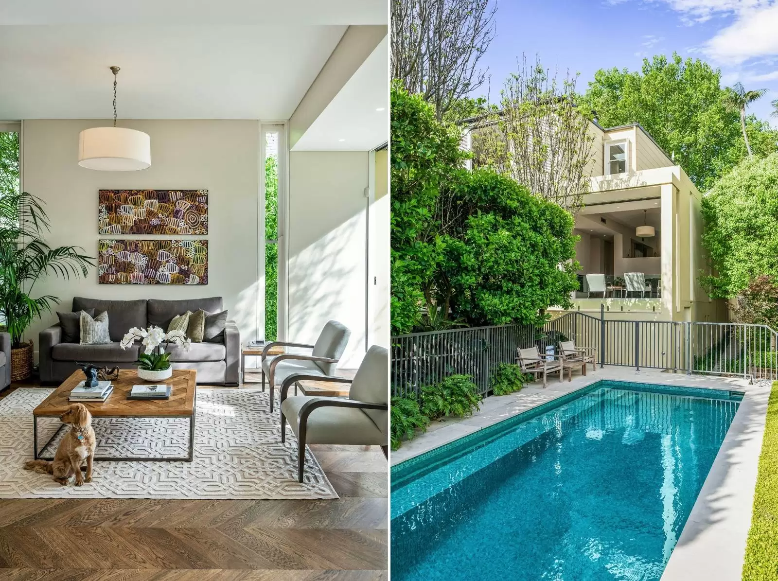80 Ocean Street, Woollahra Leased by Sydney Sotheby's International Realty - image 5