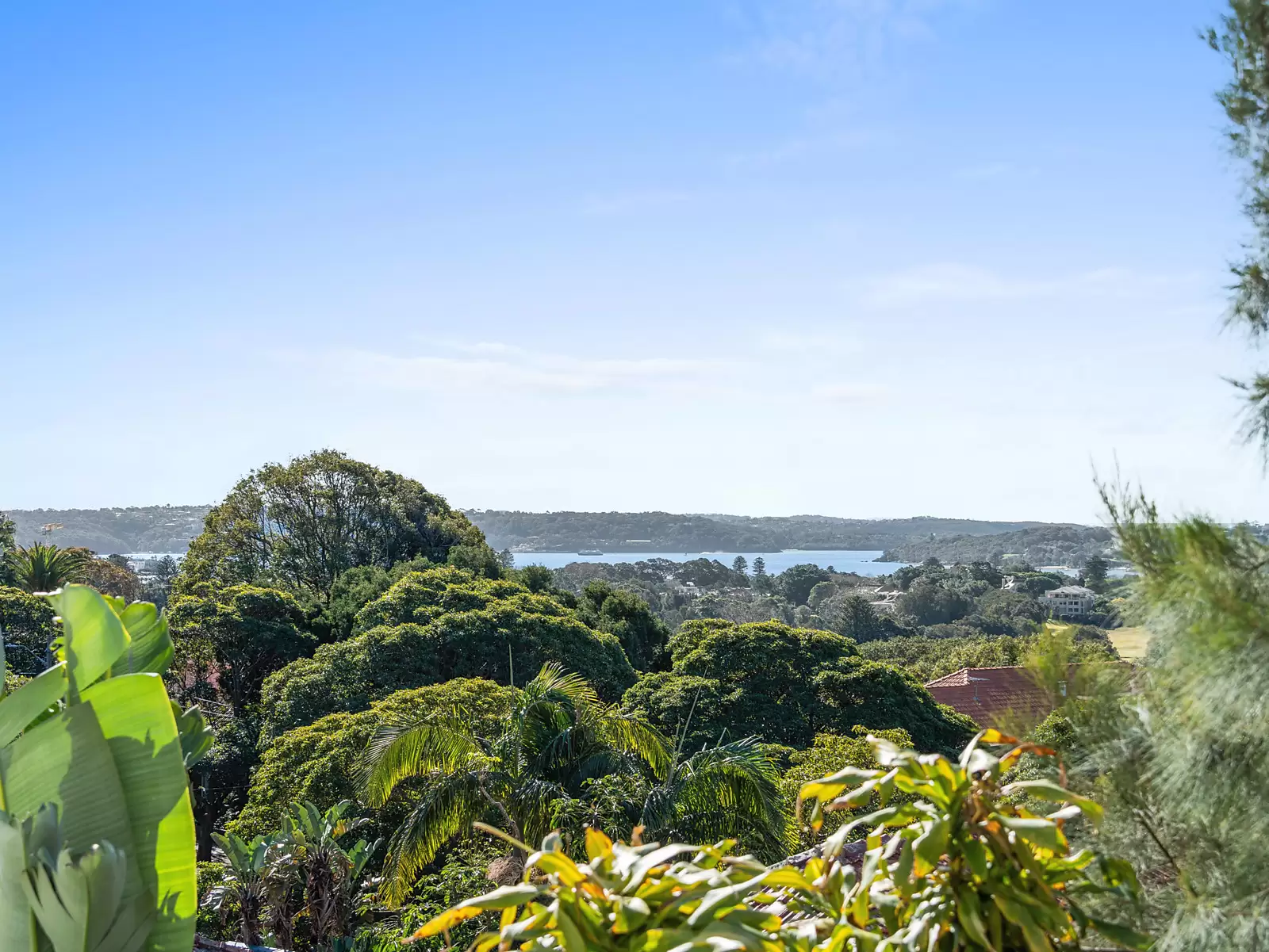 3/73 Birriga Road, Bellevue Hill Sold by Sydney Sotheby's International Realty - image 11