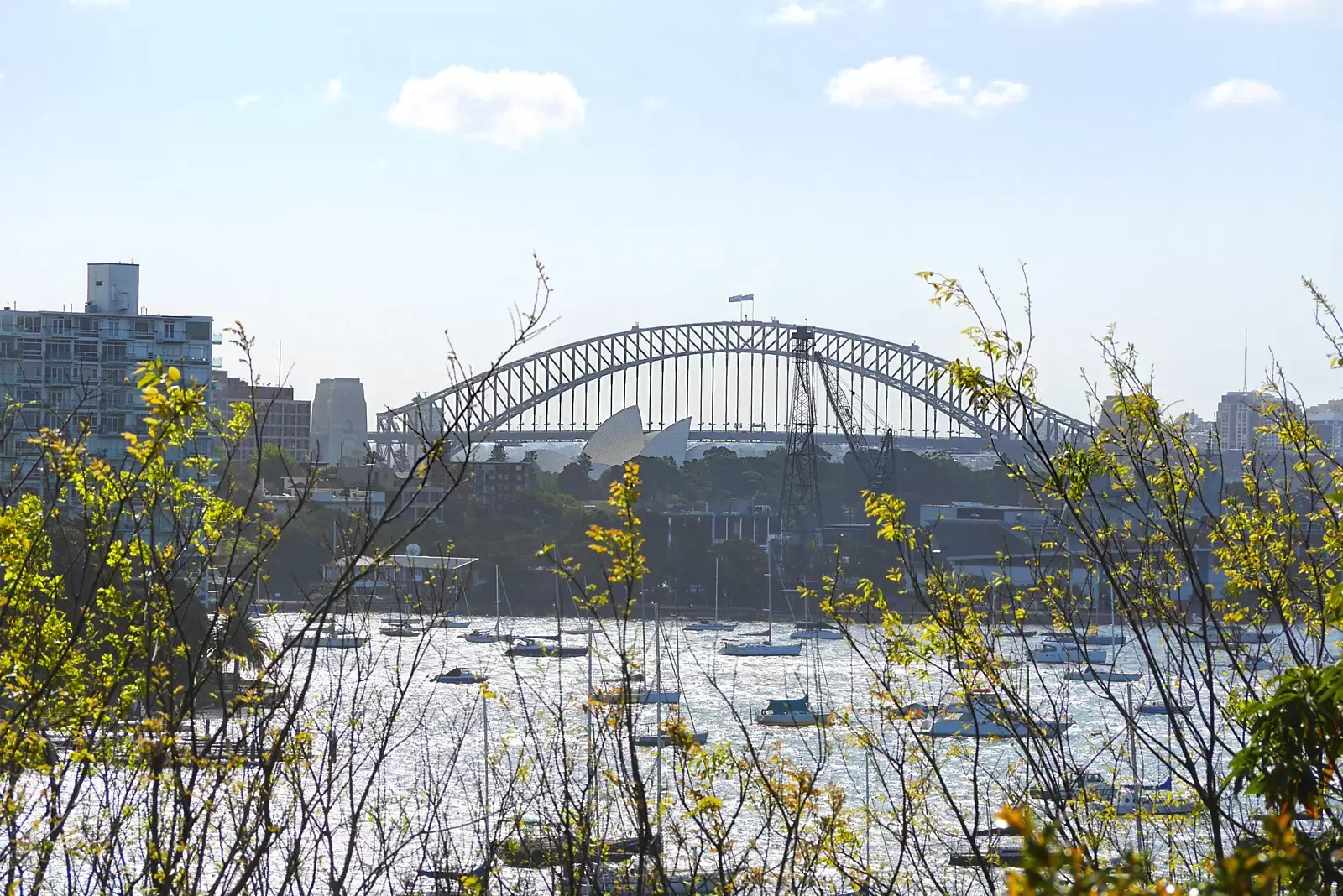 1/4-6 Annandale Street, Darling Point Sold by Sydney Sotheby's International Realty - image 13