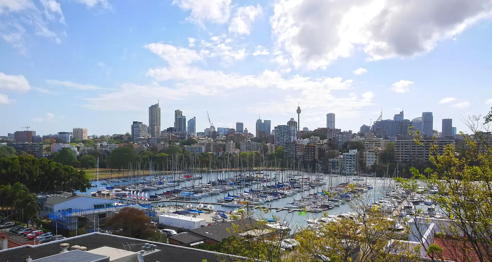 1/4-6 Annandale Street, Darling Point Sold by Sydney Sotheby's International Realty - image 12