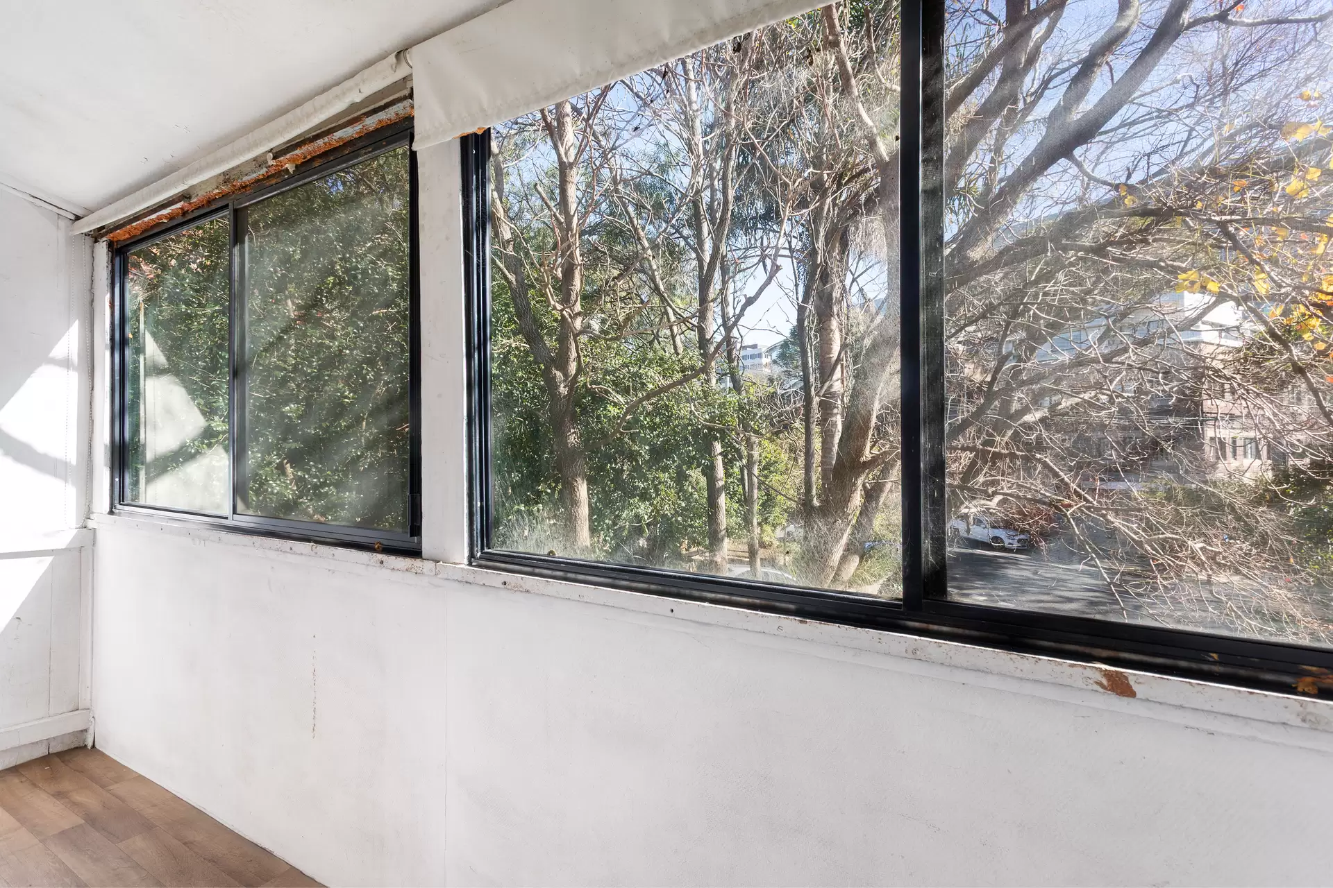 53 Comber Street, Paddington Sold by Sydney Sotheby's International Realty - image 1