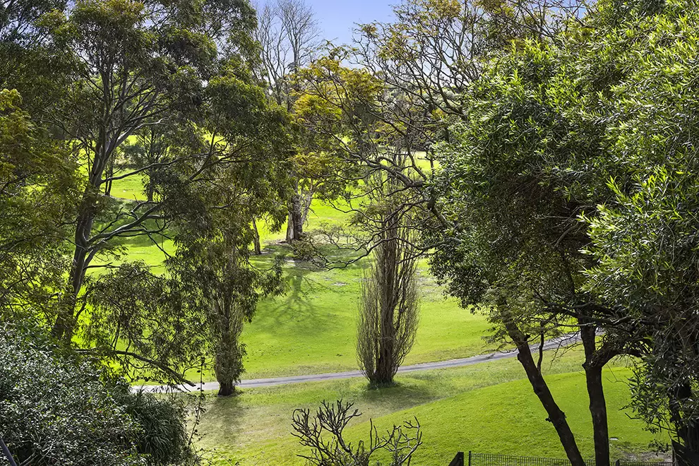 31 Salisbury Road, Kensington Sold by Sydney Sotheby's International Realty - image 3