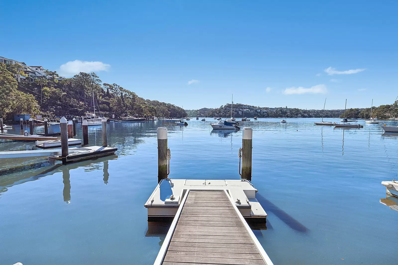 1 Hallstrom Close, Northbridge Sold by Sydney Sotheby's International Realty - image 9