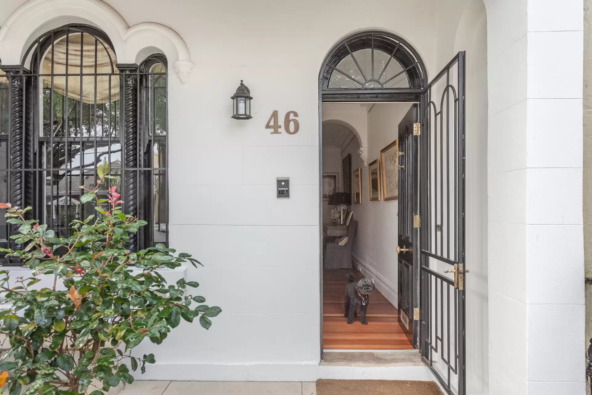 46 Gordon Street, Paddington Sold by Sydney Sotheby's International Realty - image 1