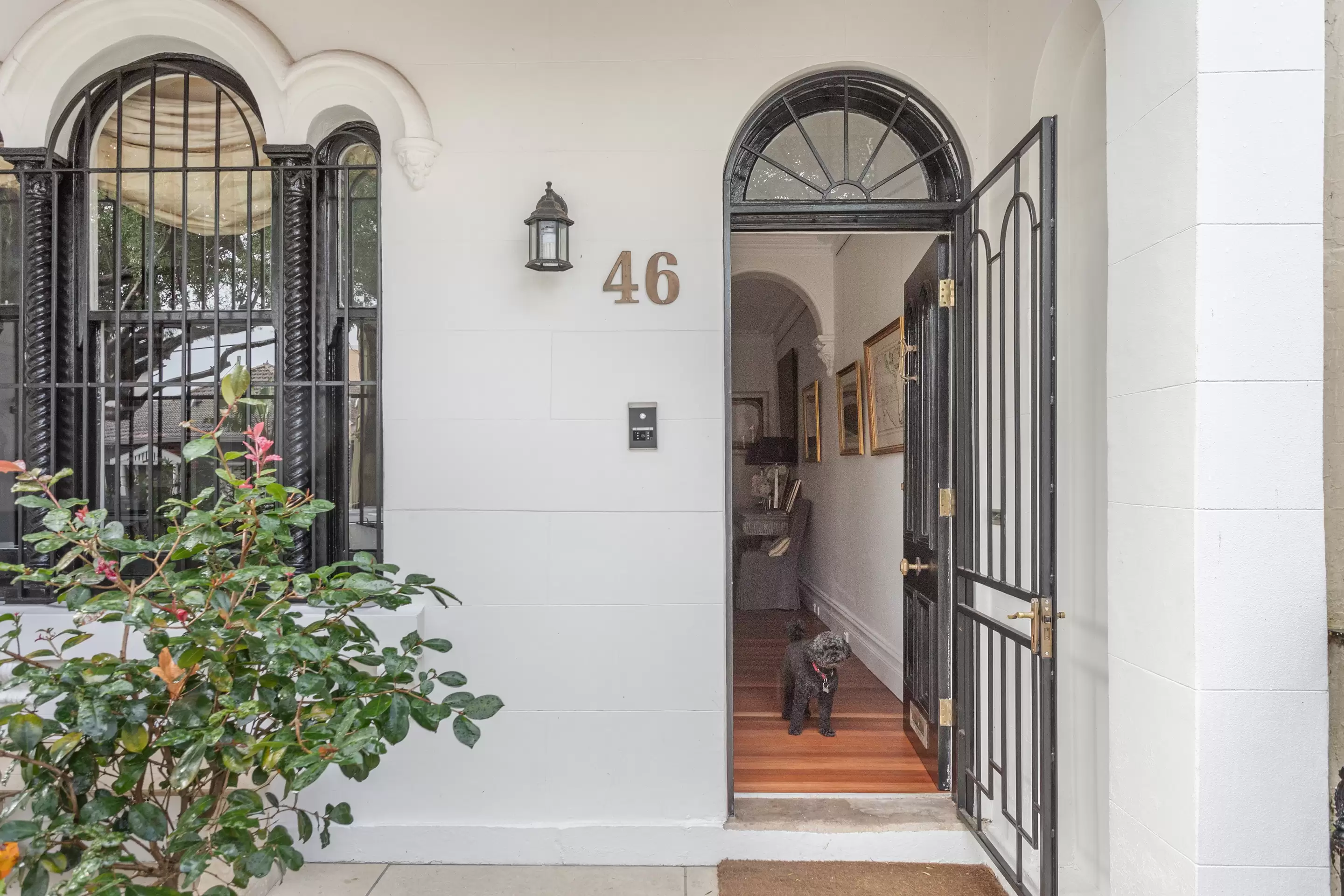 46 Gordon Street, Paddington Sold by Sydney Sotheby's International Realty - image 2