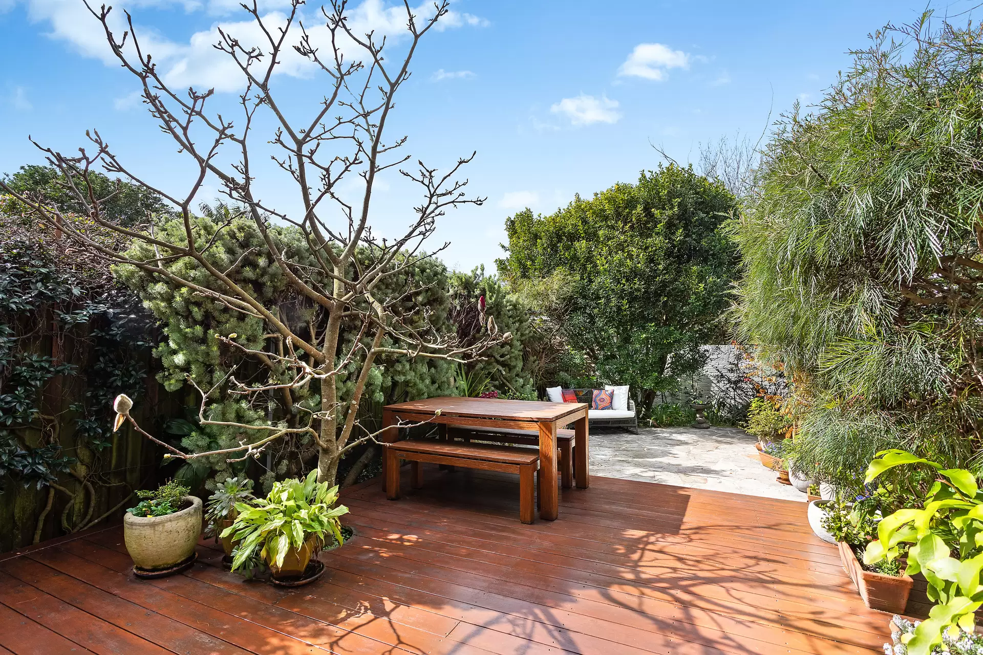 27 Winchester Road, Clovelly Sold by Sydney Sotheby's International Realty - image 3