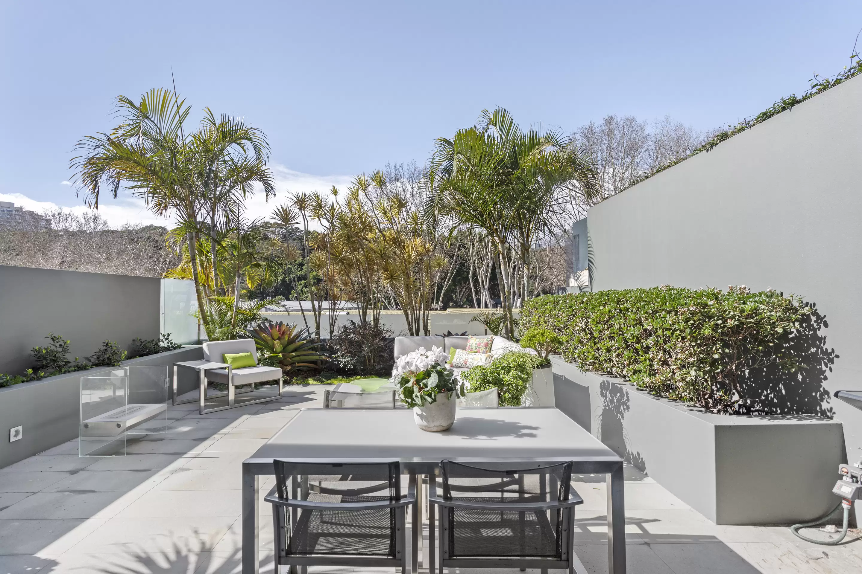 67 Cascade Street, Paddington Sold by Sydney Sotheby's International Realty - image 4