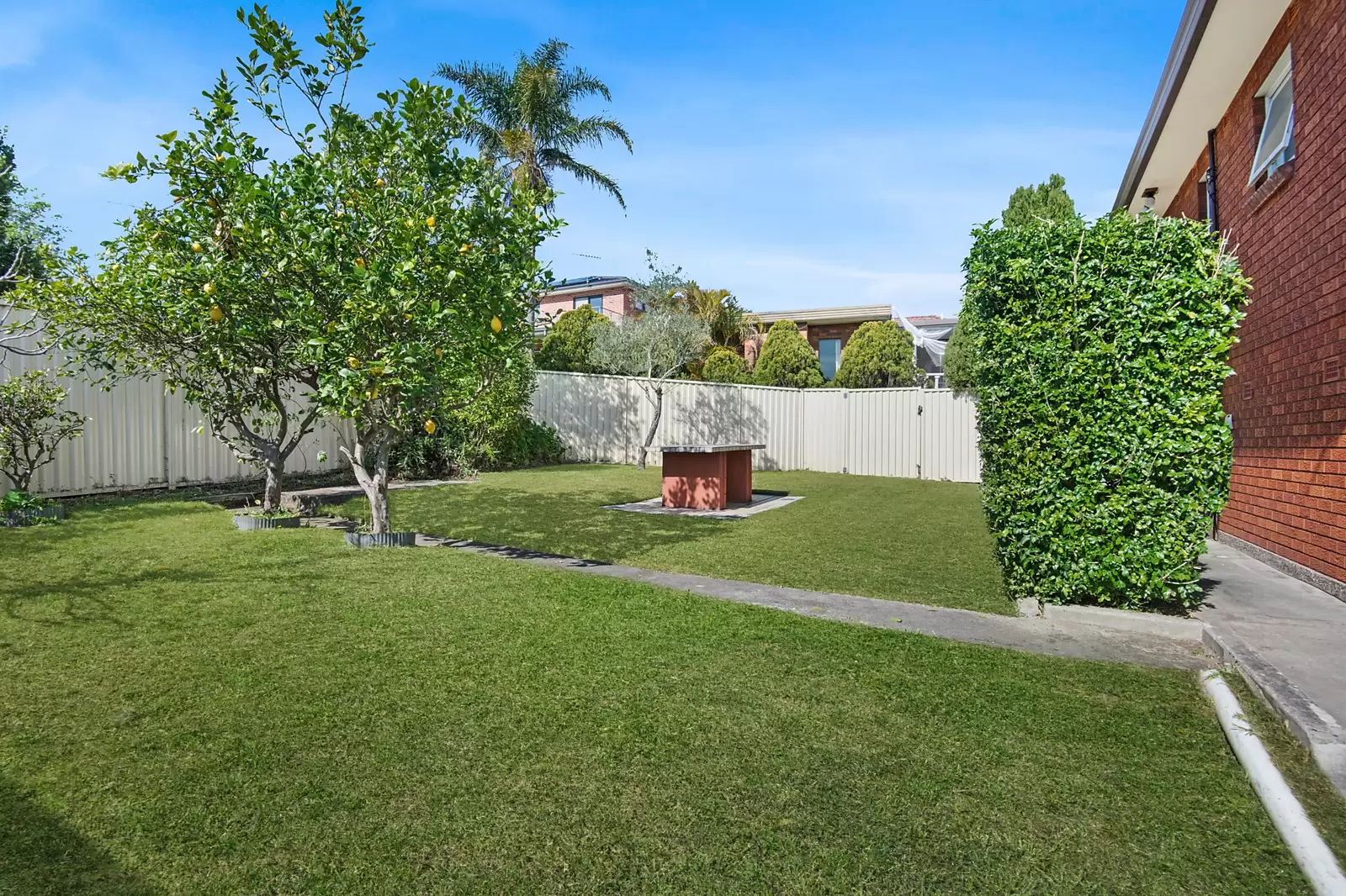23a Schofield Avenue, Earlwood Sold by Sydney Sotheby's International Realty - image 6