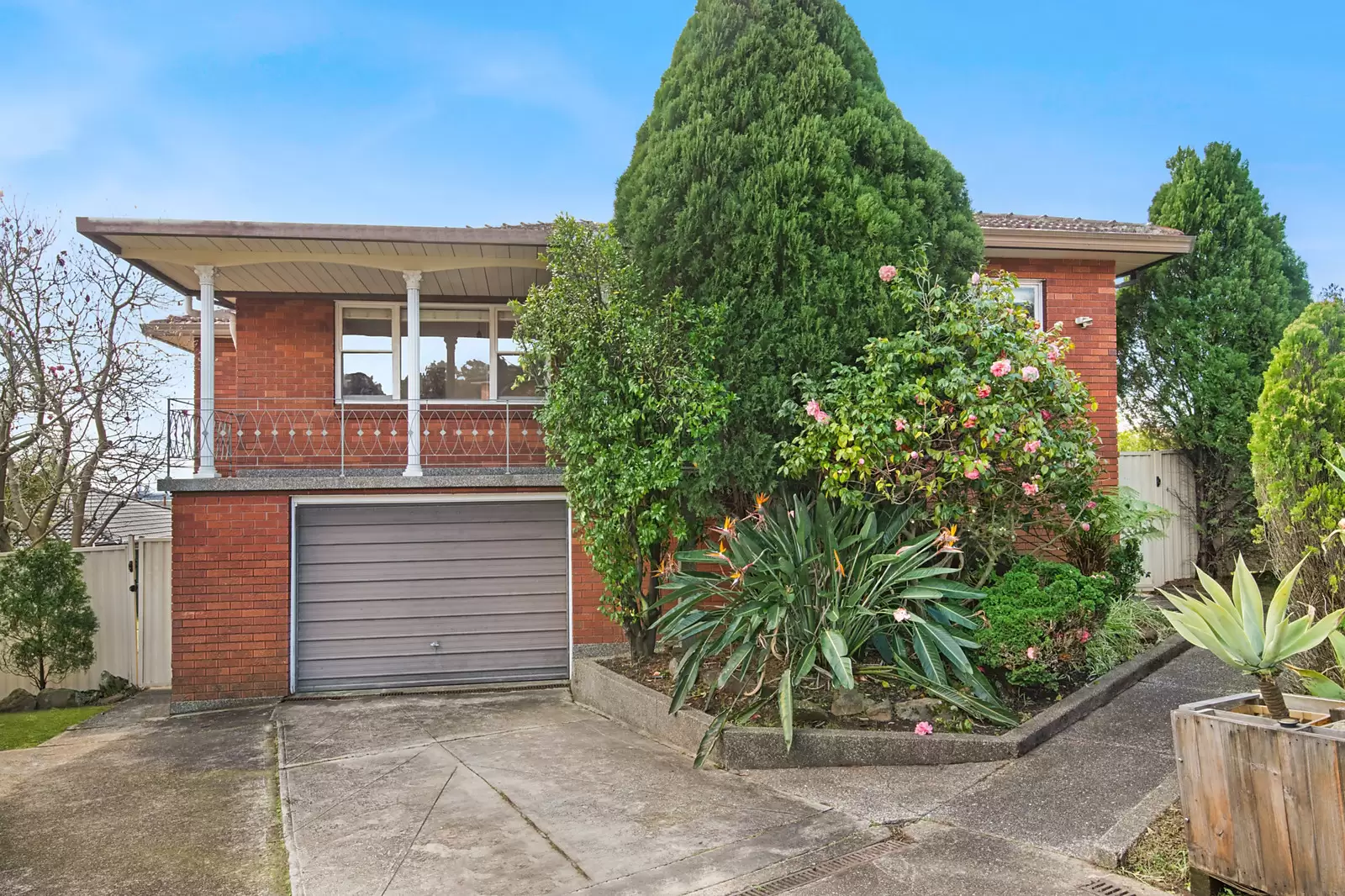 23a Schofield Avenue, Earlwood Sold by Sydney Sotheby's International Realty - image 1
