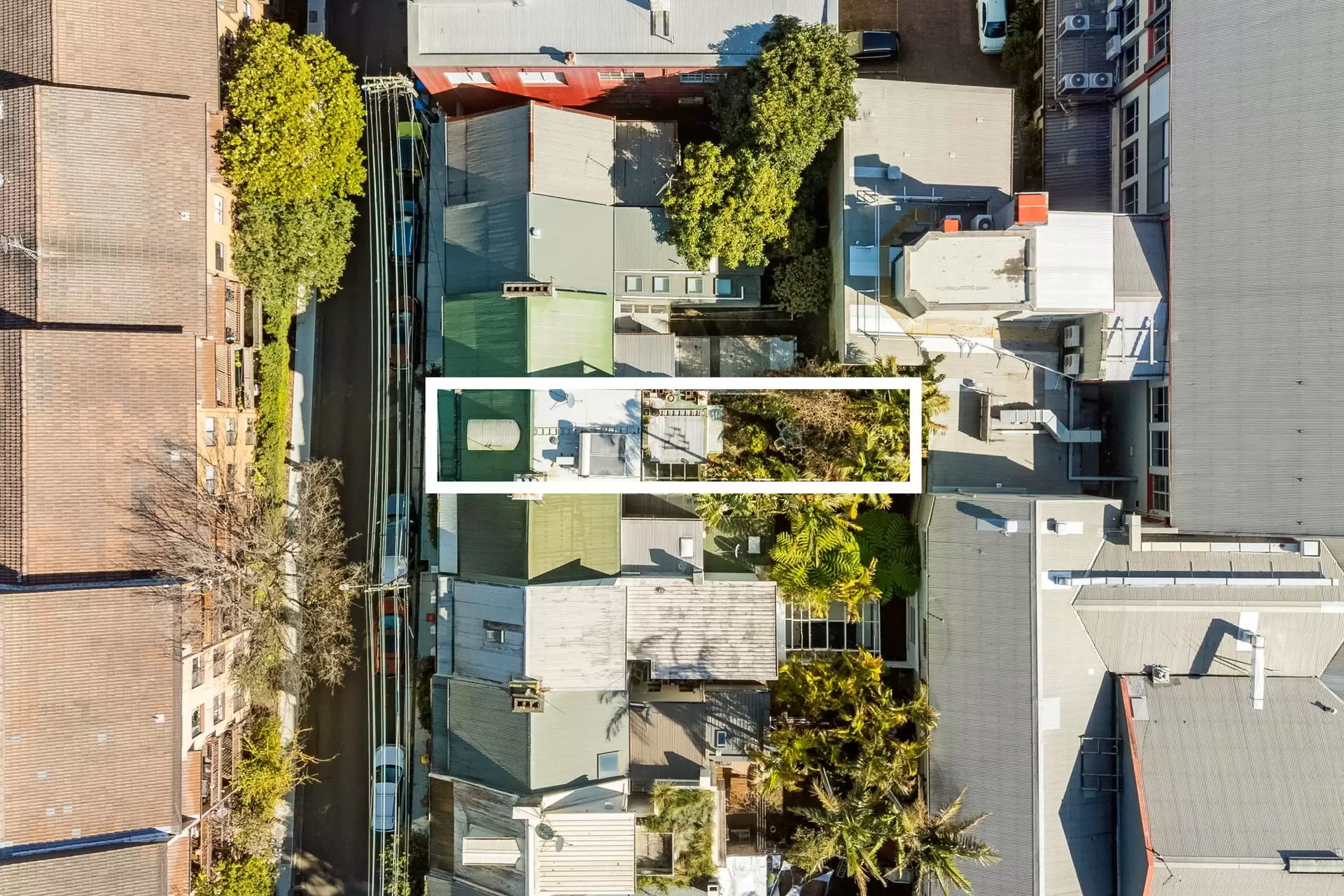 26 Belvoir Street, Surry Hills Sold by Sydney Sotheby's International Realty - image 9