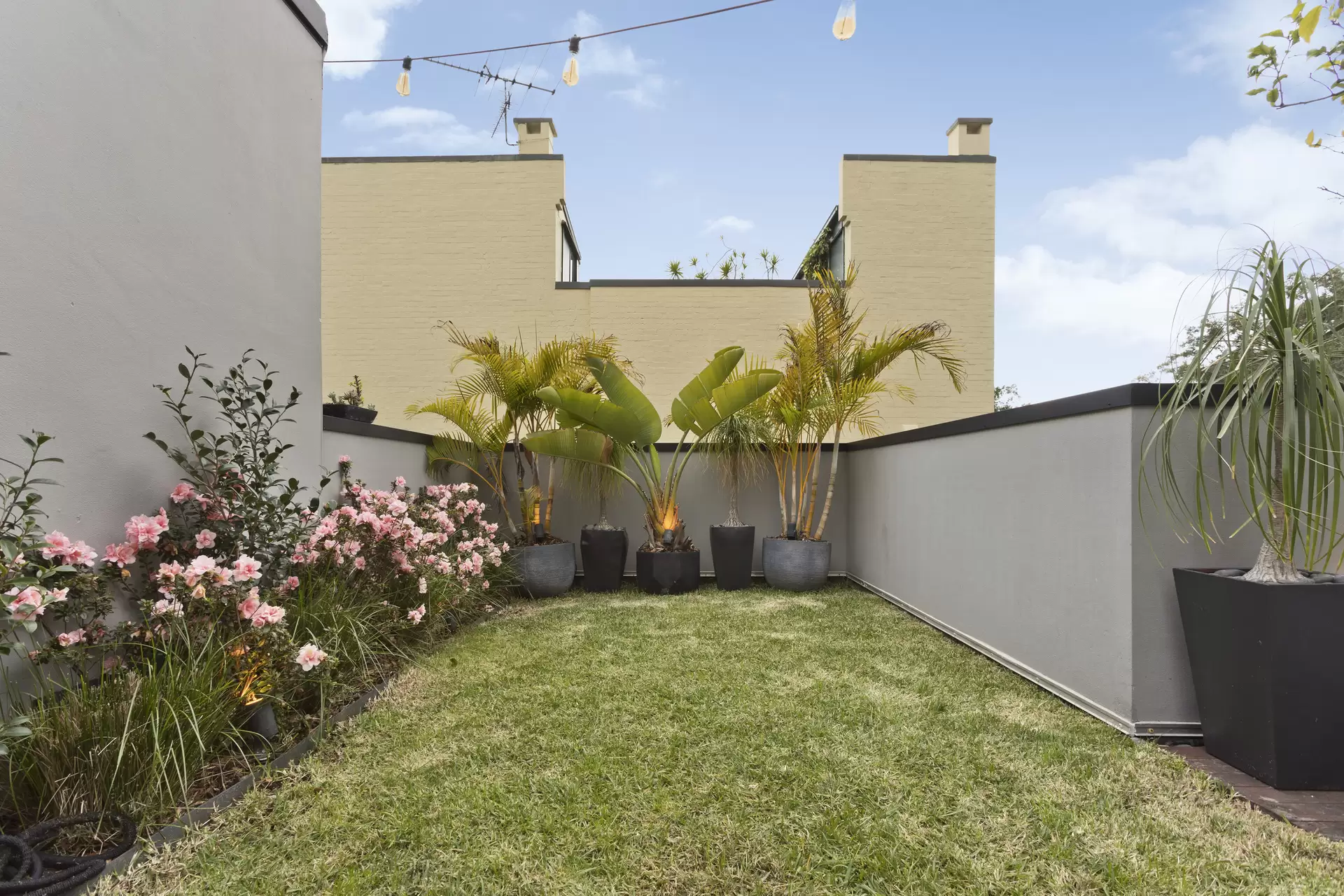 5/23 Stanley Street, Darlinghurst Sold by Sydney Sotheby's International Realty - image 1