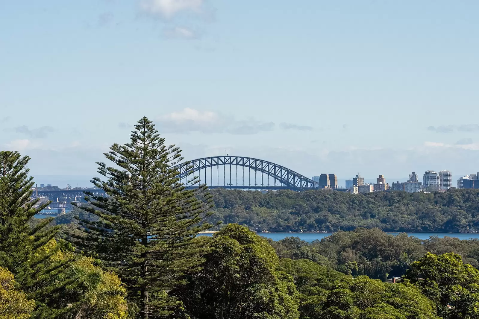6 Derby Street, Vaucluse Sold by Sydney Sotheby's International Realty - image 4