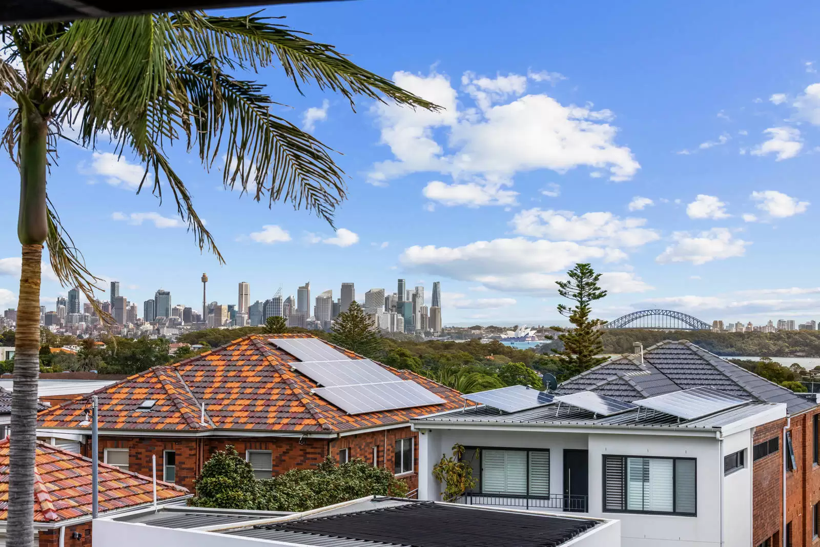 21 Derby Street, Vaucluse Leased by Sydney Sotheby's International Realty - image 10