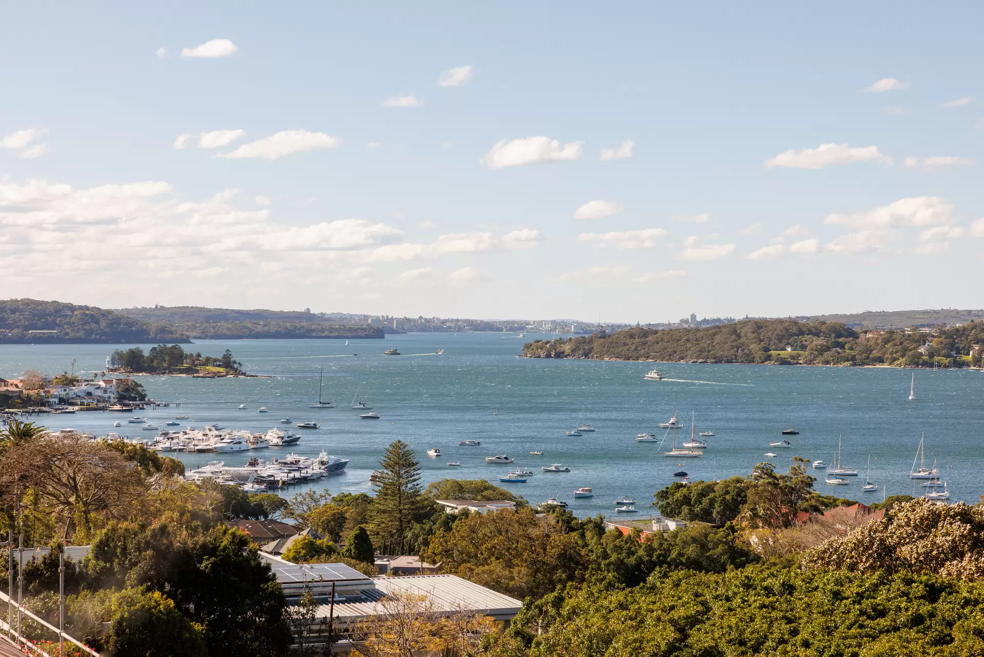 55A Cranbrook Road, Bellevue Hill Sold by Sydney Sotheby's International Realty - image 1