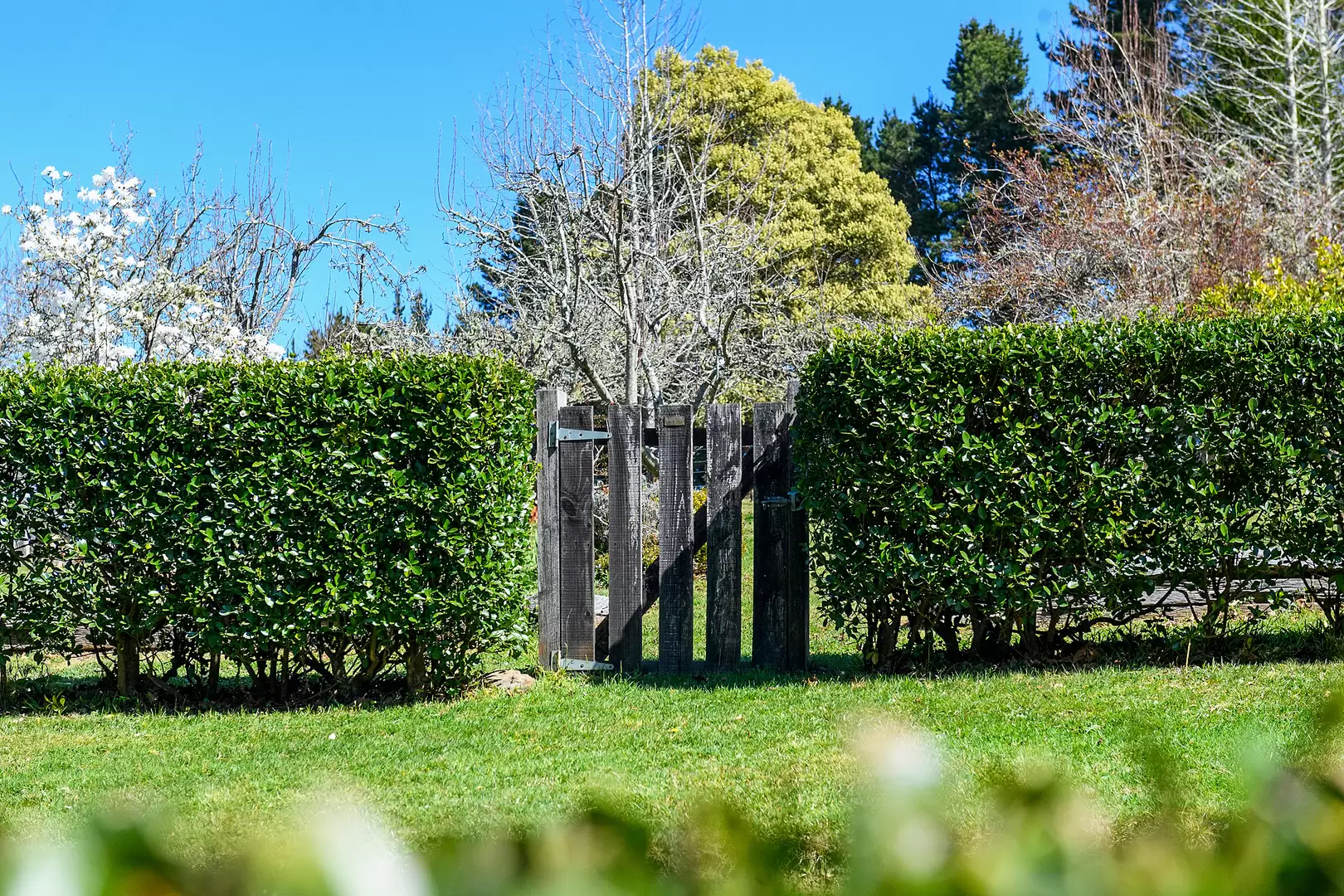 51 Shierlaw Road, Robertson For Sale by Sydney Sotheby's International Realty - image 9