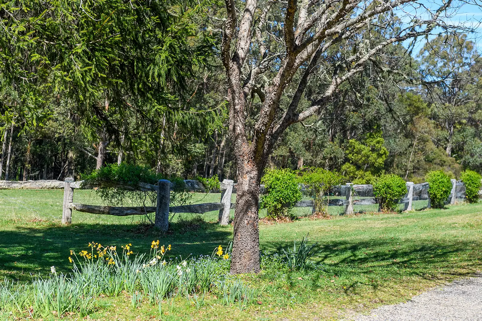 51 Shierlaw Road, Robertson For Sale by Sydney Sotheby's International Realty - image 29