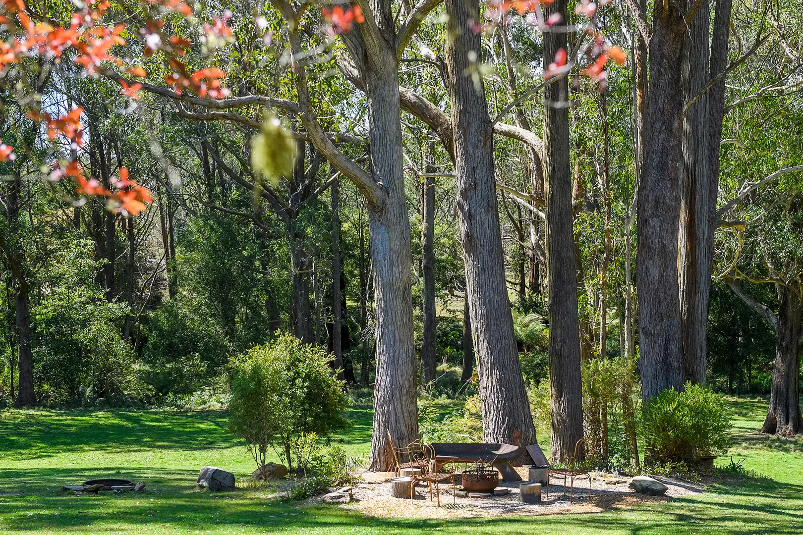 51 Shierlaw Road, Robertson For Sale by Sydney Sotheby's International Realty - image 24