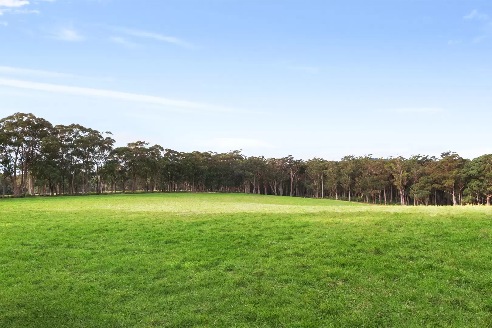 51 Shierlaw Road, Robertson For Sale by Sydney Sotheby's International Realty - image 22