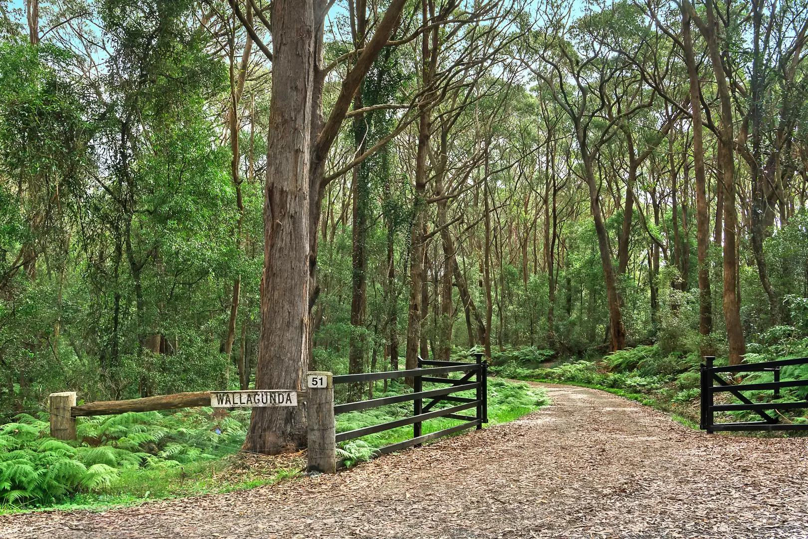 51 Shierlaw Road, Robertson For Sale by Sydney Sotheby's International Realty - image 31