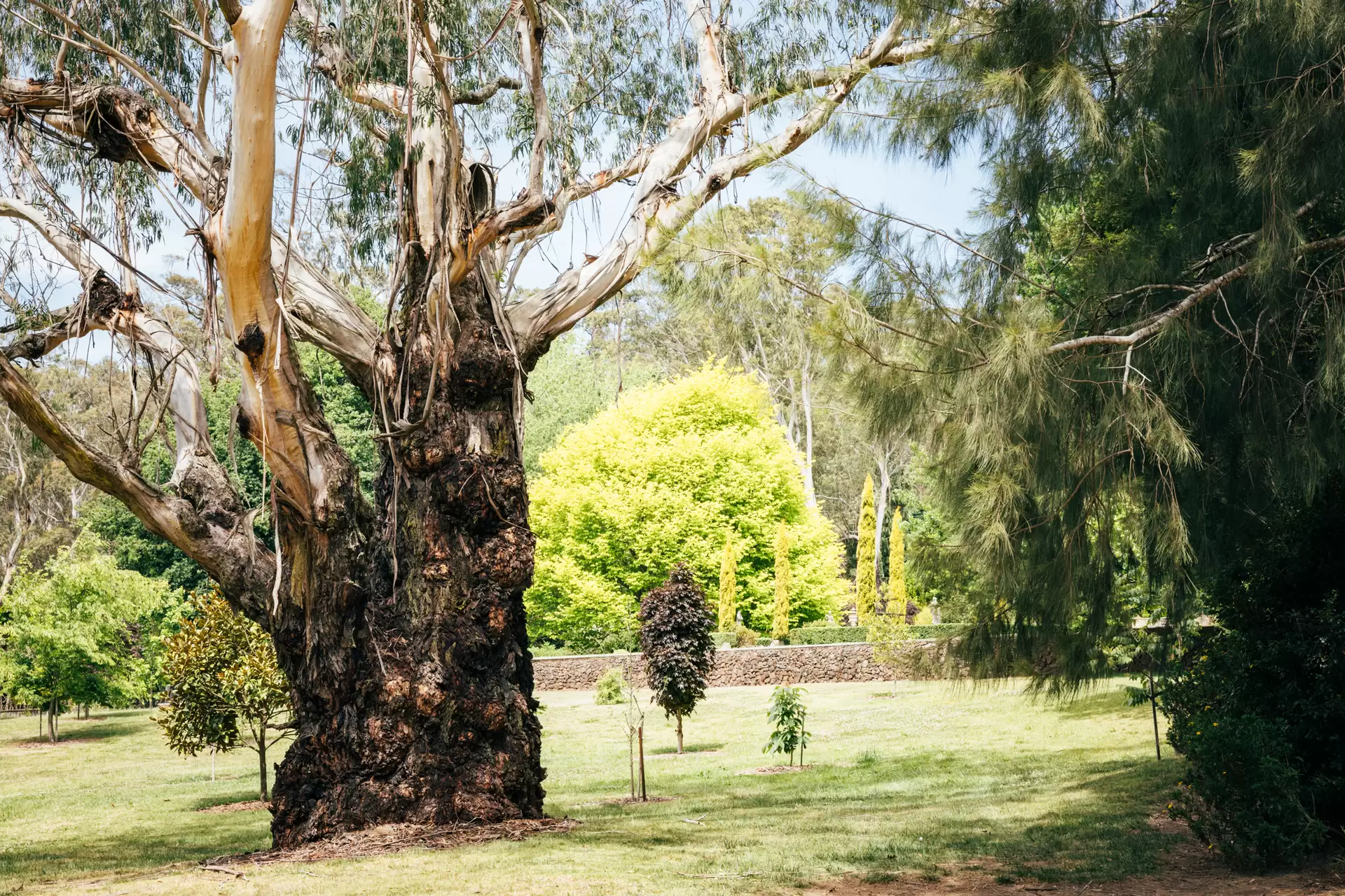 1171 Old South Road, Bowral For Sale by Sydney Sotheby's International Realty - image 24