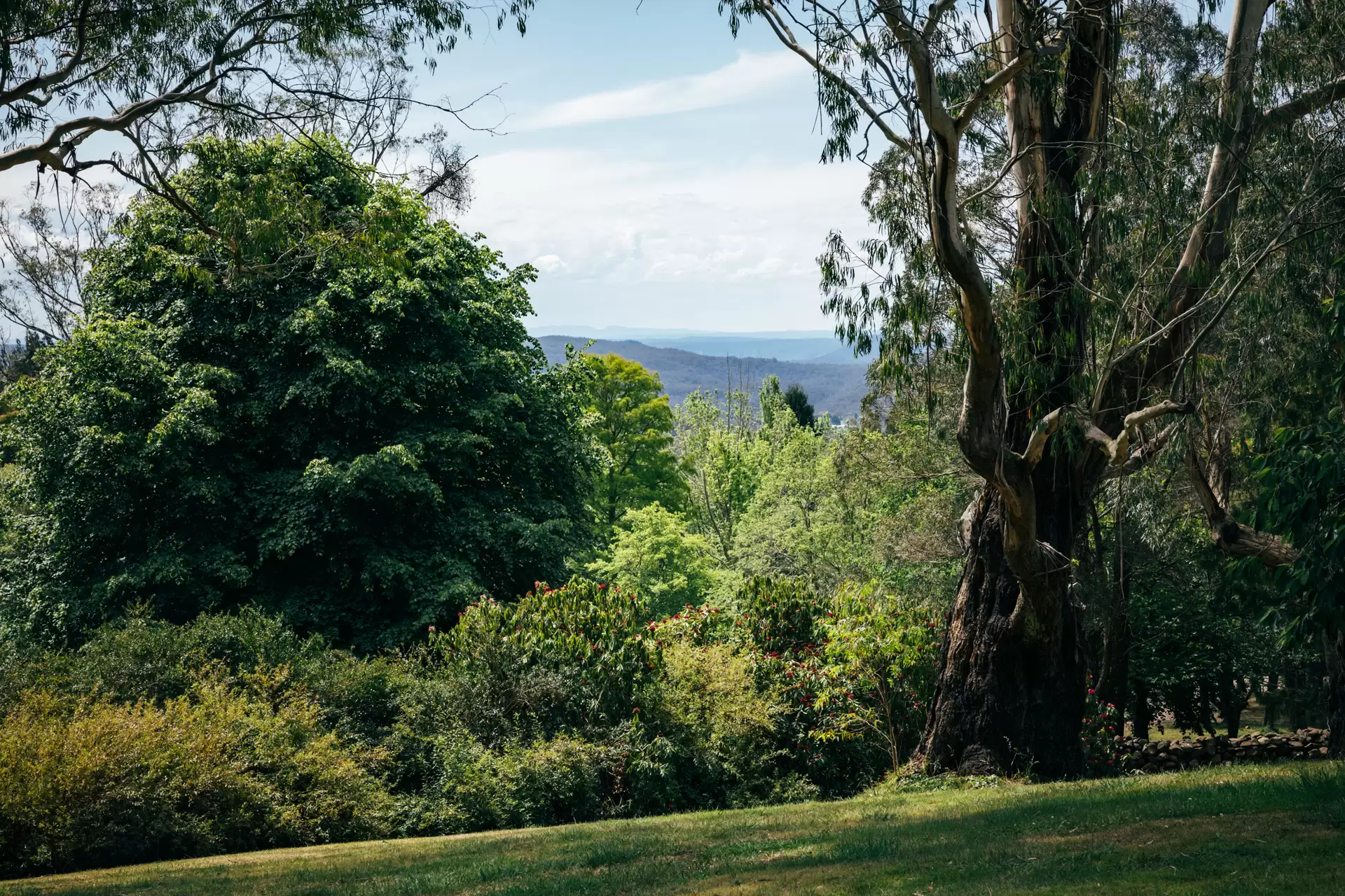 1171 Old South Road, Bowral For Sale by Sydney Sotheby's International Realty - image 22