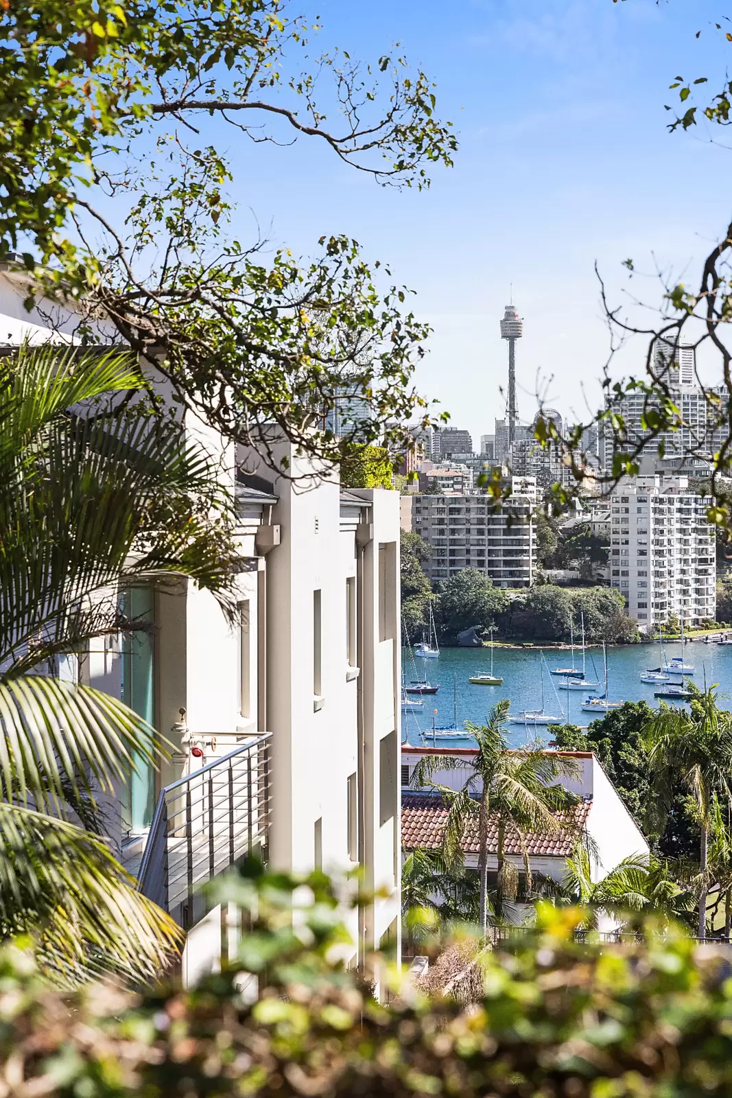 1/54 Darling Point Road, Darling Point Sold by Sydney Sotheby's International Realty - image 11