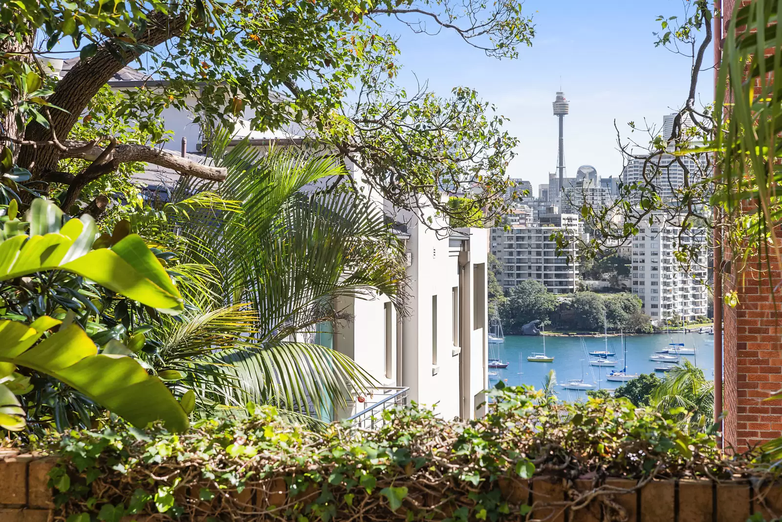 1/54 Darling Point Road, Darling Point Sold by Sydney Sotheby's International Realty - image 4
