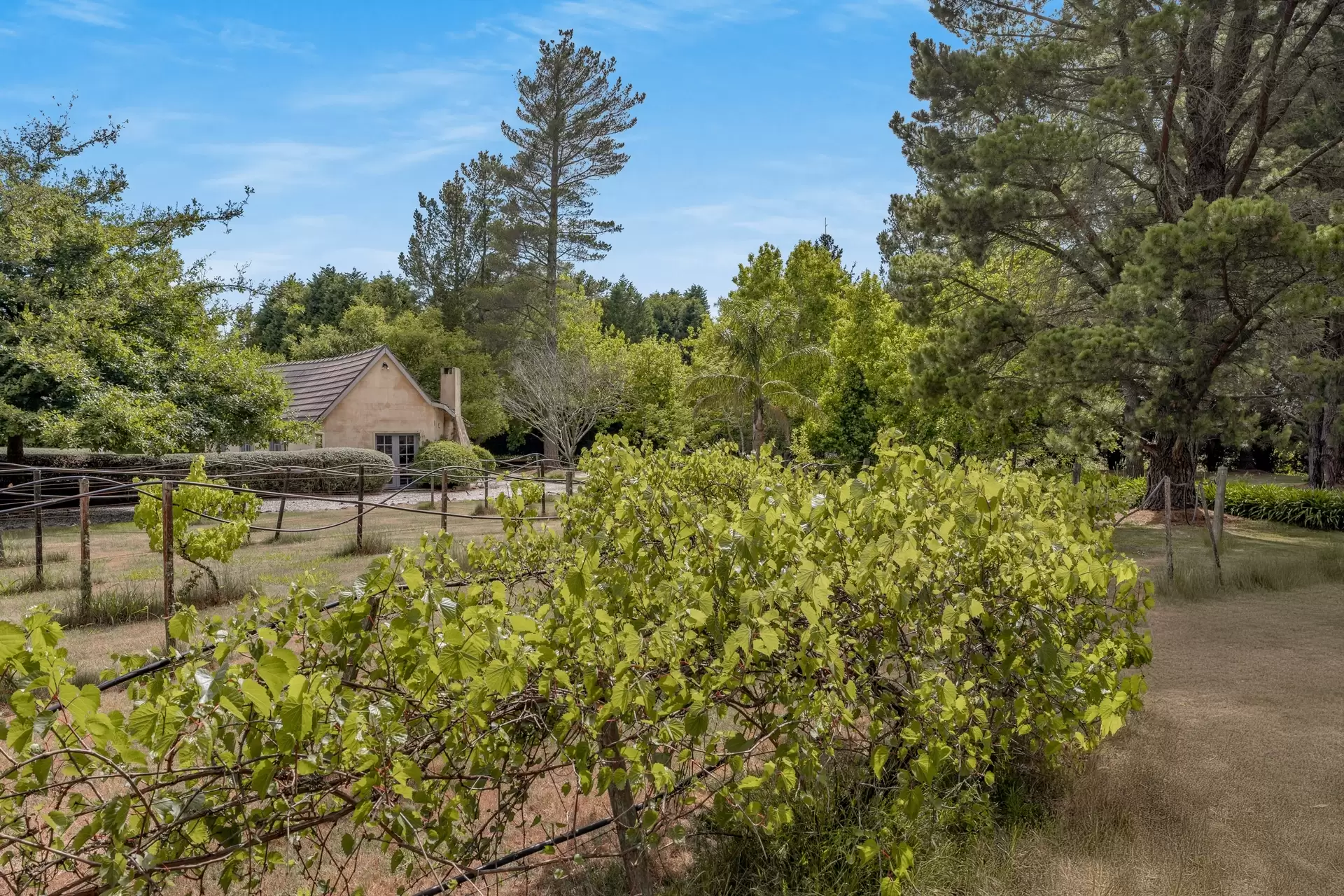 560 Oxleys Hill Road, Berrima For Sale by Sydney Sotheby's International Realty - image 17