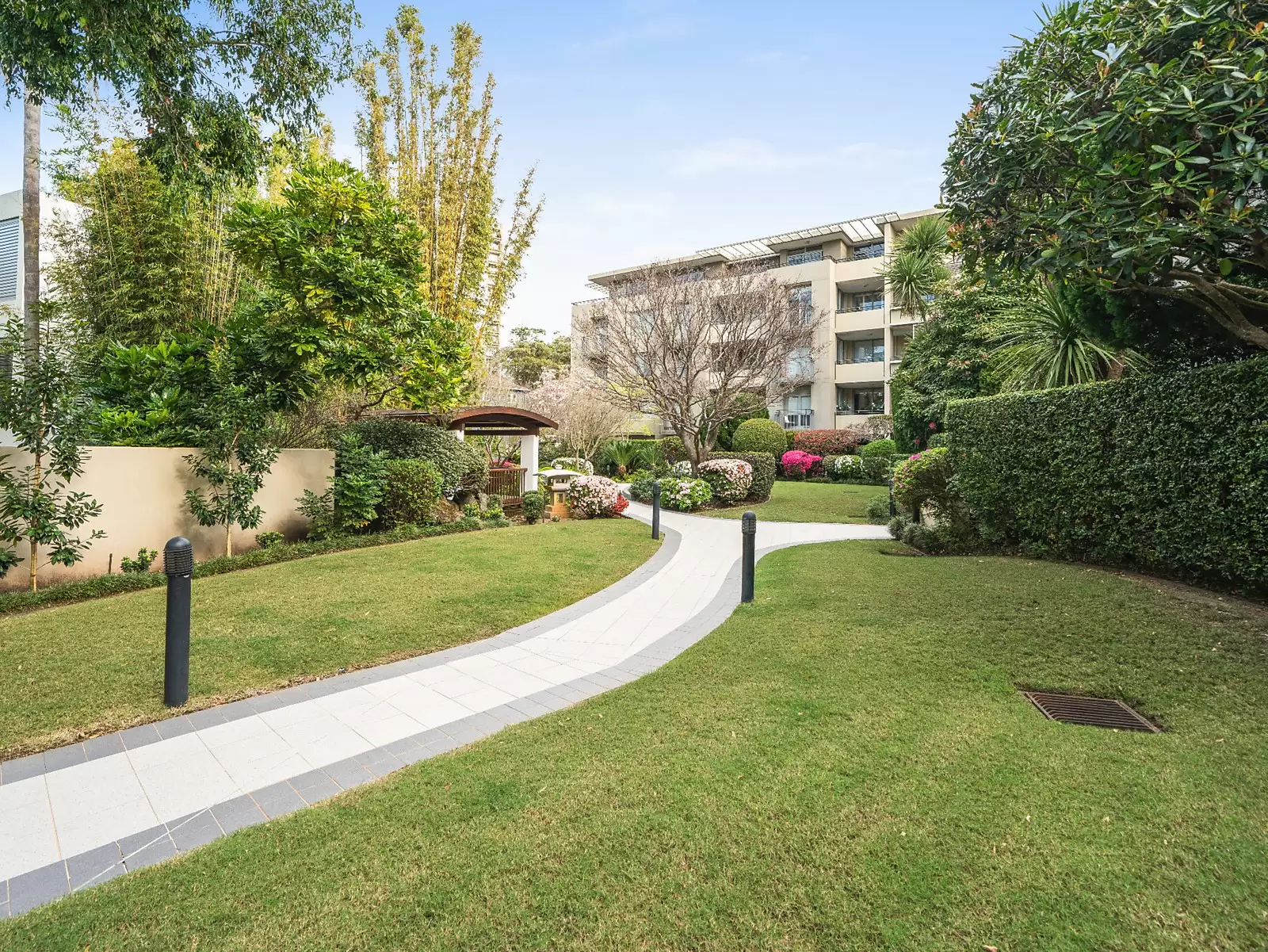 3/51 William Street, Double Bay Sold by Sydney Sotheby's International Realty - image 16