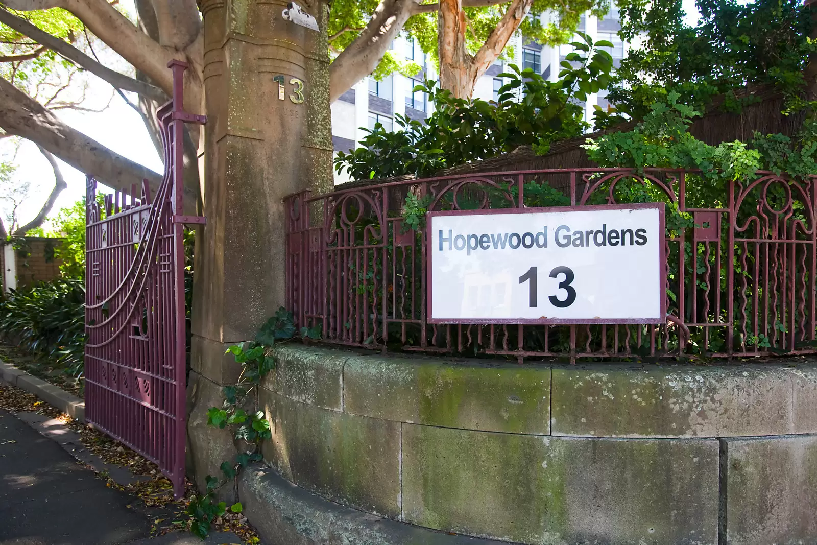 11C/13-15 Thornton Street, Darling Point Sold by Sydney Sotheby's International Realty - image 22