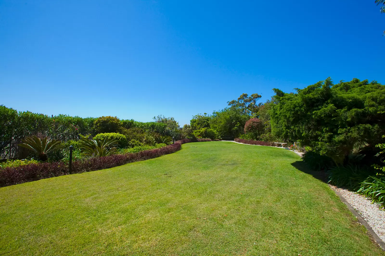11C/13-15 Thornton Street, Darling Point Sold by Sydney Sotheby's International Realty - image 20