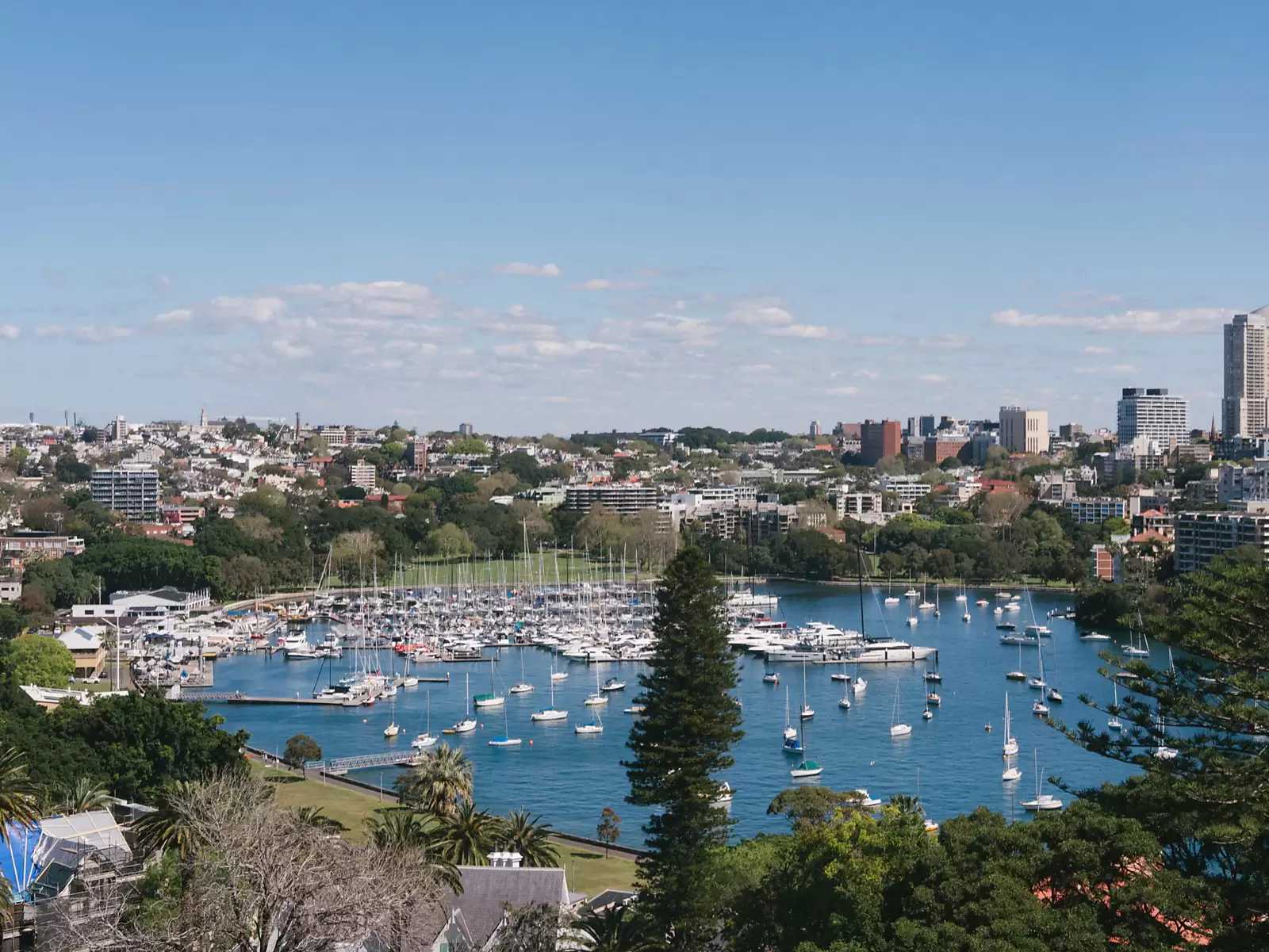 11C/13-15 Thornton Street, Darling Point Sold by Sydney Sotheby's International Realty - image 13