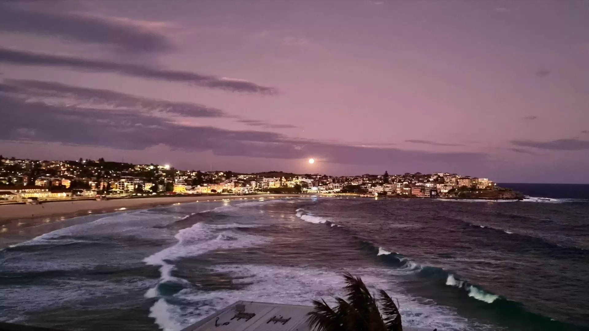 9/16 Notts Avenue, Bondi Beach Sold by Sydney Sotheby's International Realty - image 28