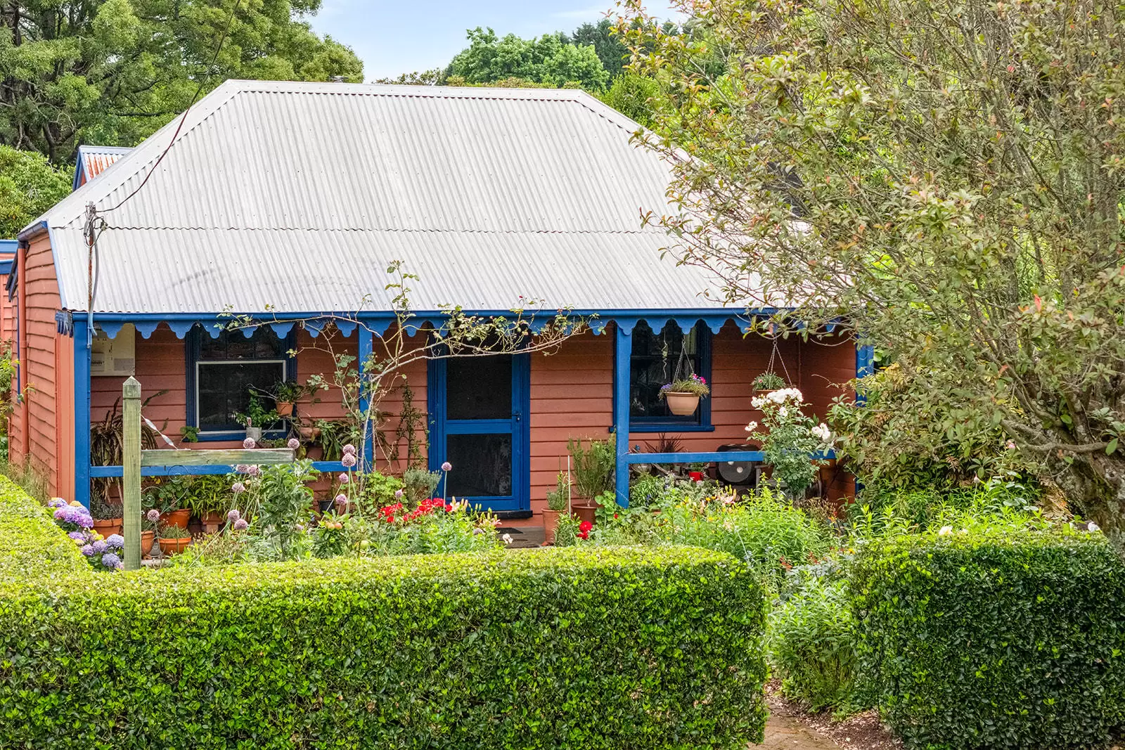 23 Hoddle Street, Burrawang Sold by Sydney Sotheby's International Realty - image 19
