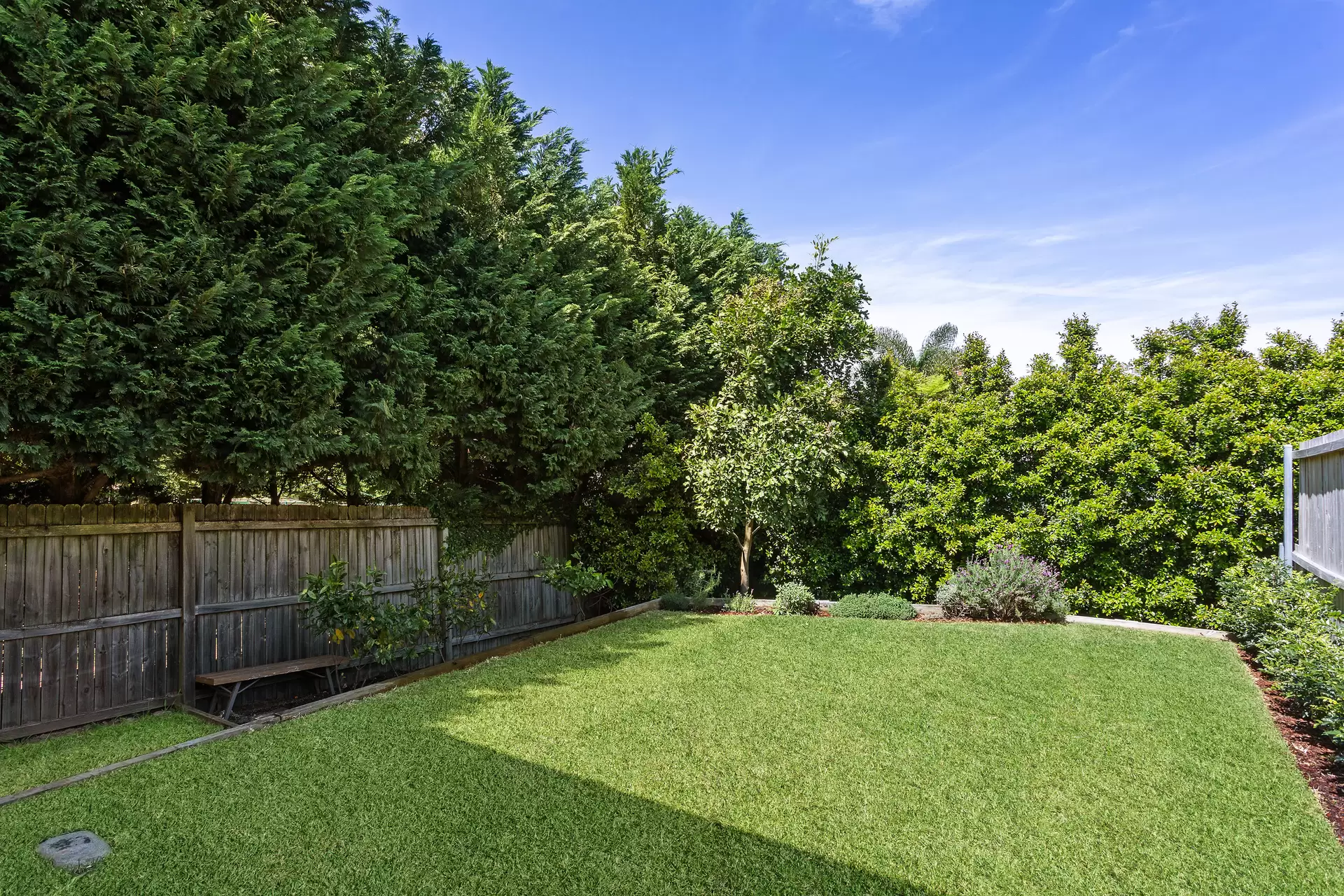 40a Creer Street, Randwick Sold by Sydney Sotheby's International Realty - image 4