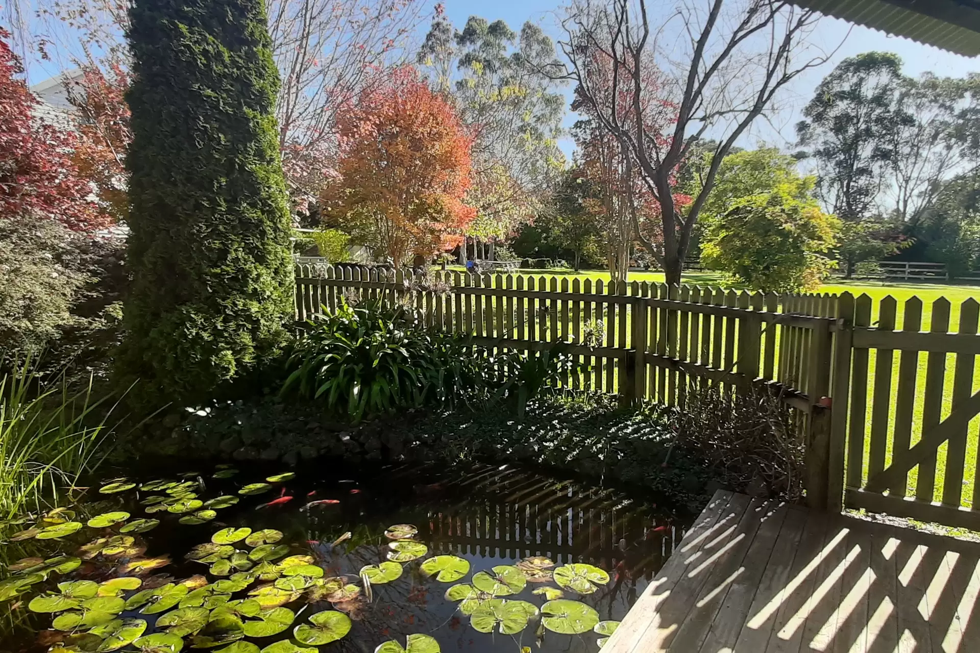 14-16 Hambridge Road, Yerrinbool Sold by Sydney Sotheby's International Realty - image 30